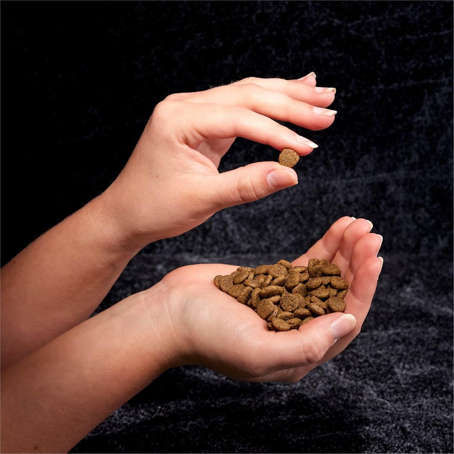 Grain Free Adult High Protein Natural Dry Cat Food with Protein from Salmon & Ocean Fish, 10 Lb. Bag