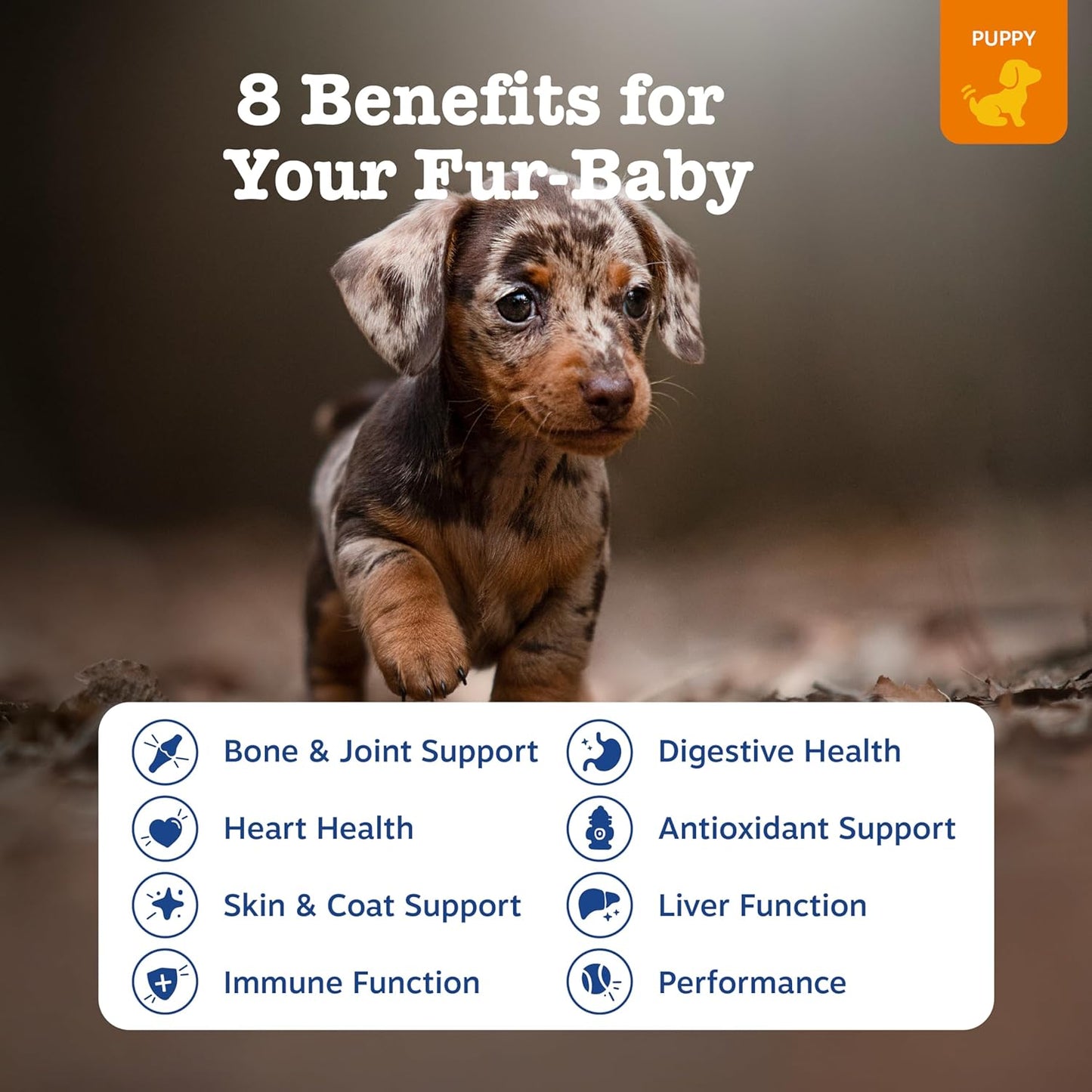 Dog Multivitamin, Chewable Dog Vitamins and Supplements for Hip & Joints, Skin & Coat, Omega 3 Fish Oil for Dogs- Puppy Multivitamin - Chicken Puppy Bites- 90Ct
