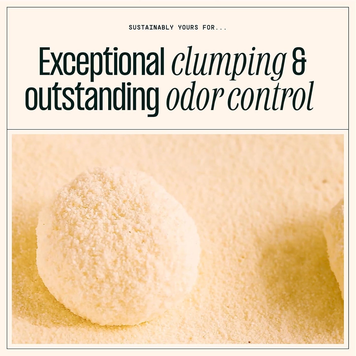 Cat Litter, Large-Grain Formula 10 Lbs