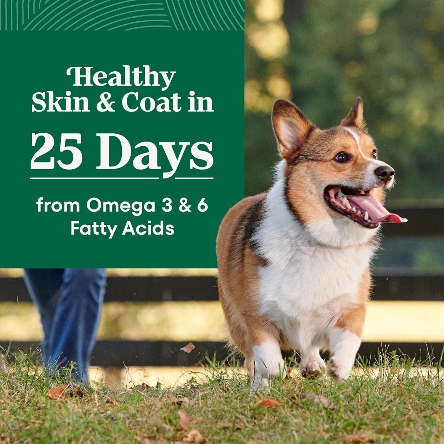 Natural Choice Chicken & Brown Rice Small Breed Dog Food Dry Recipe, 13 Lb. Bag