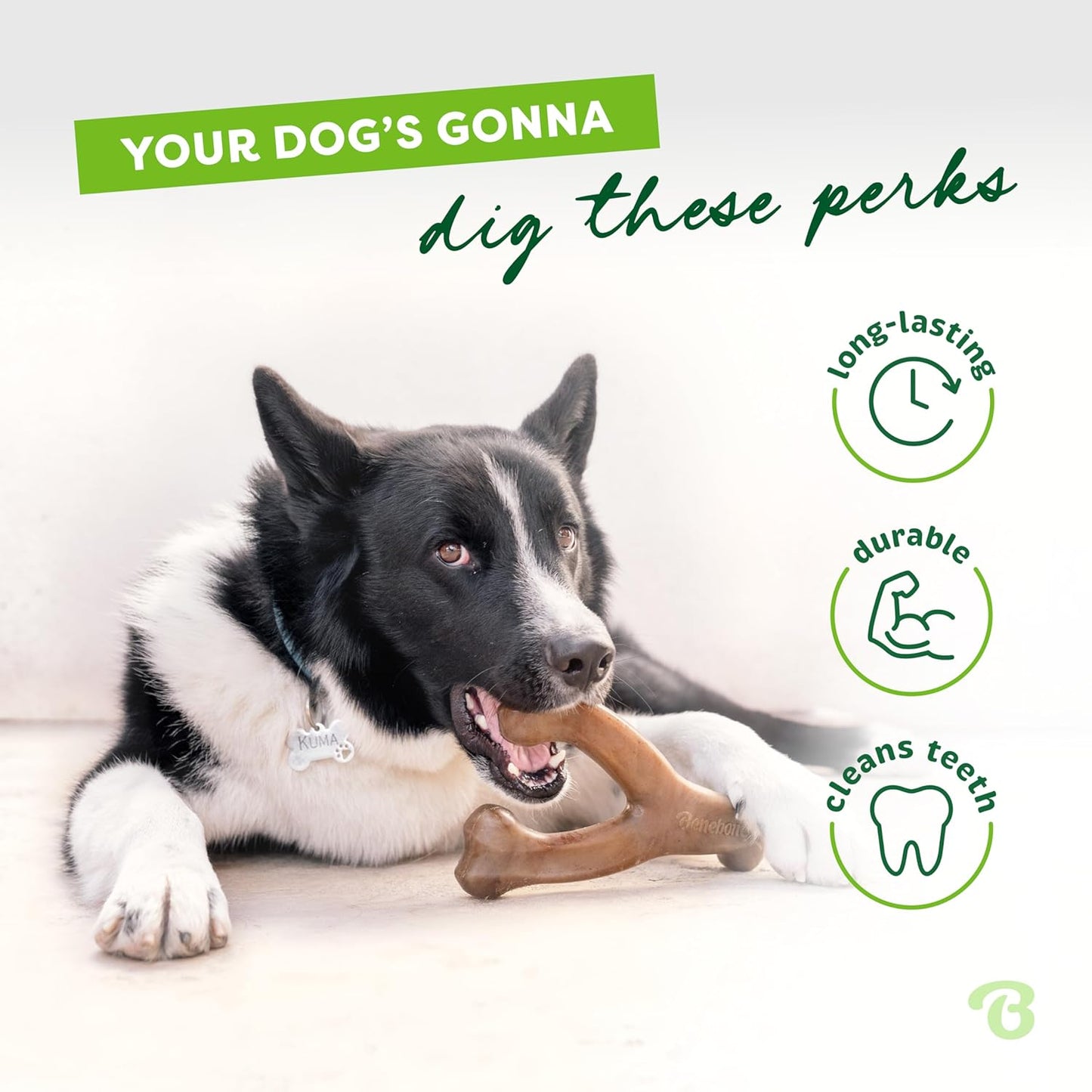 Wishbone Durable Dog Chew Toy for Aggressive Chewers, Made in USA, Large, Real Bacon Flavor