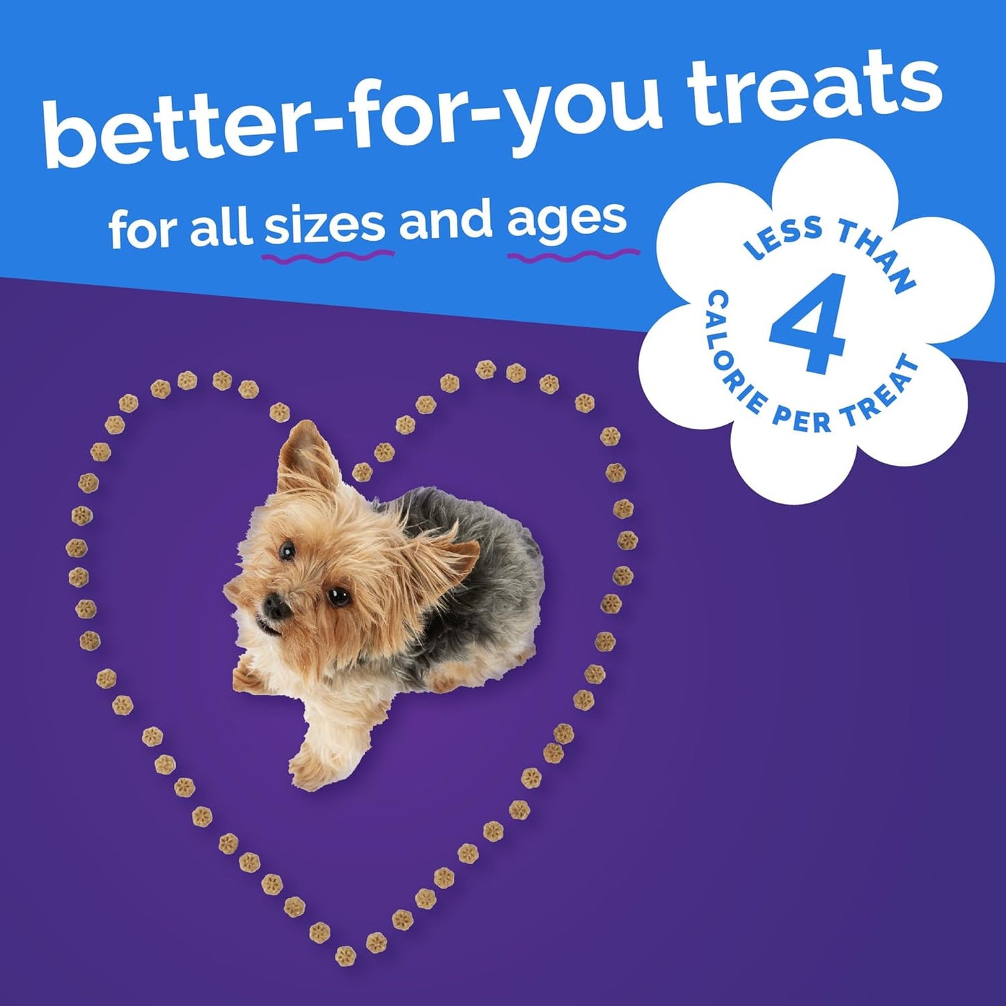 Skinny Mini Dog Treats, Healthy Pumpkin Treat for Dogs, Low Calorie & Delicious, Puppy Training, Free of Wheat, Corn and Soy, Made in the USA, Pumpkin and Berry Flavor, 12Oz