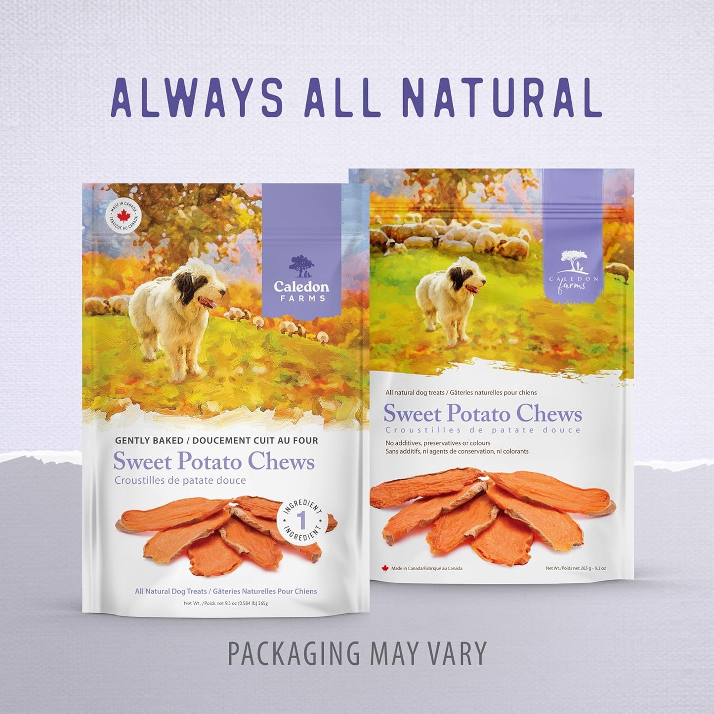 Sweet Potato Chews for Dogs 9.3 OZ