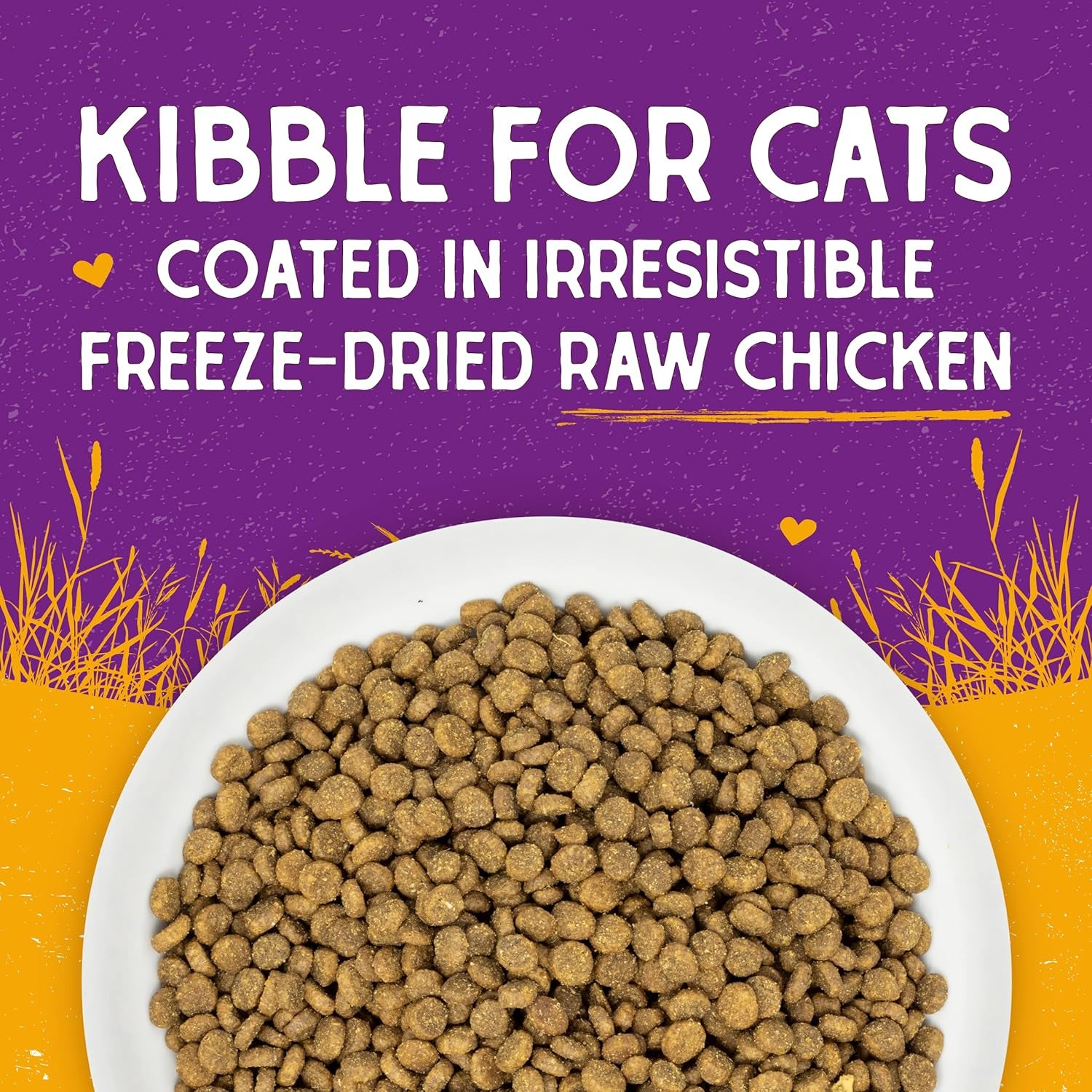 Raw Coated Cat Food - High Protein, Grain-Free Kibble with Cage-Free Chicken - Premium Digestive Support with Probiotics - Natural Small Kibble - Perfect for Picky Eaters - 10 Lb Bag