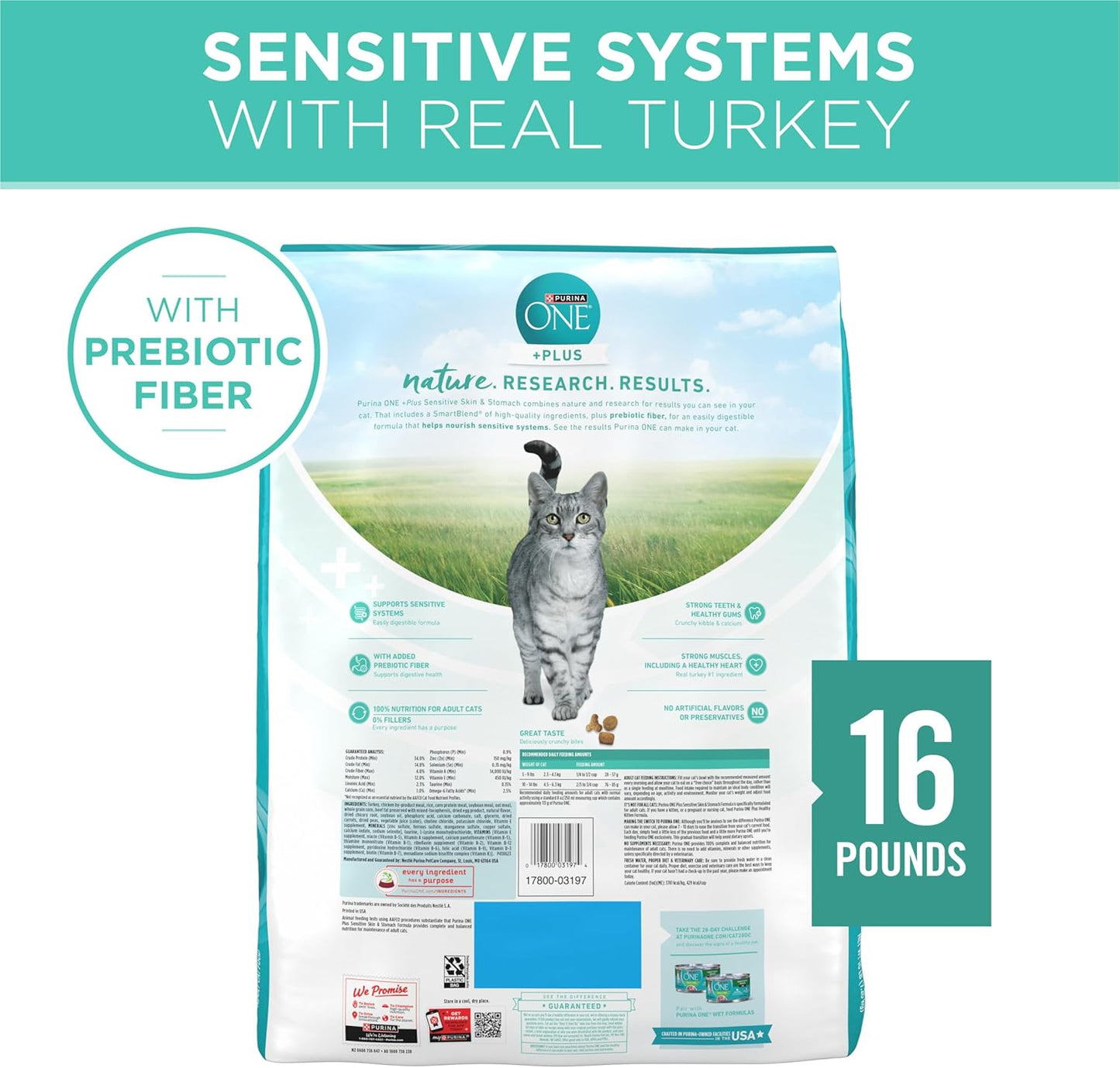 Sensitive Stomach, Sensitive Skin, Natural Dry Cat Food, +Plus Sensitive Skin and Stomach Formula - 16 Lb. Bag