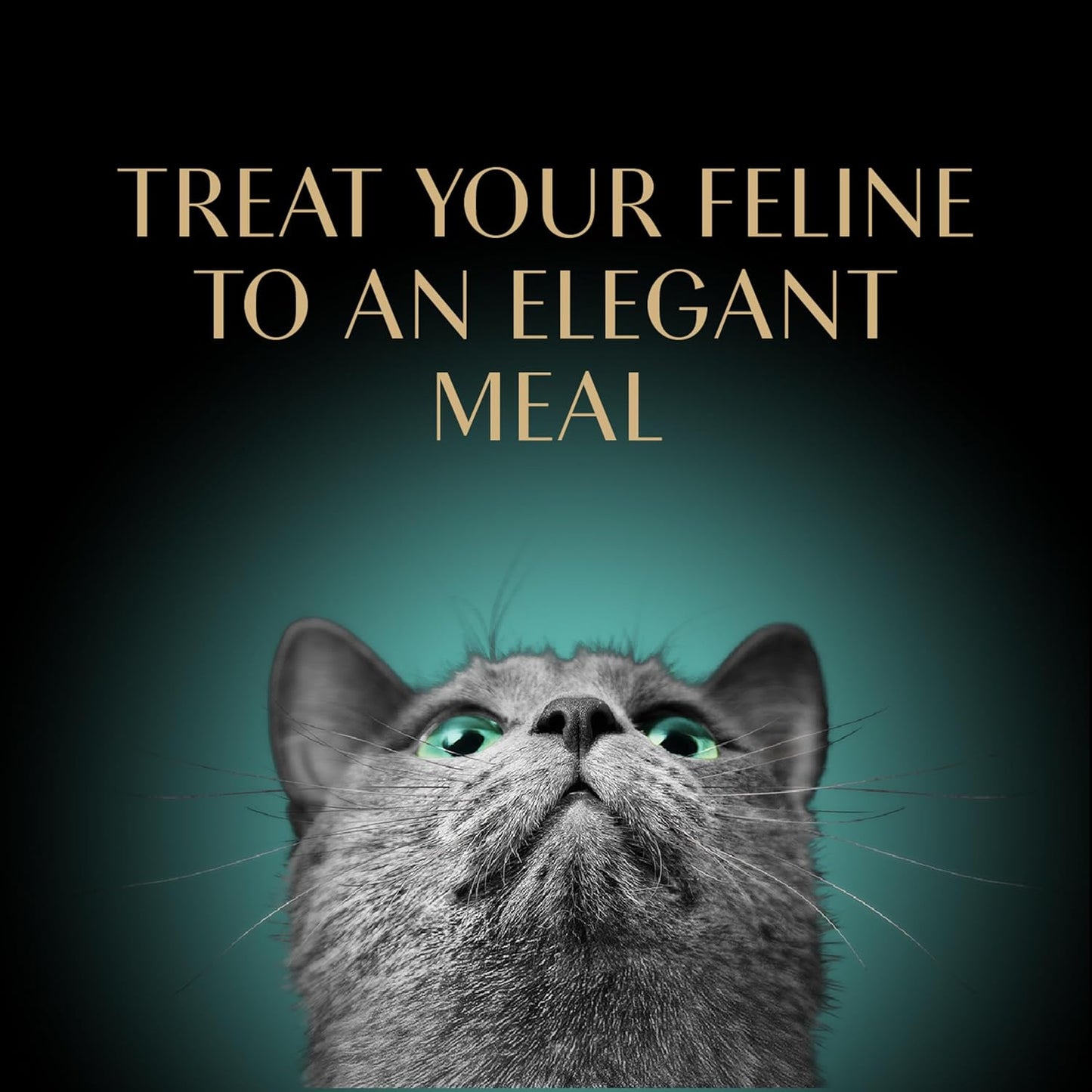 Perfect Portions Wet Cat Food Pate Savory Chicken Entree, 2.6 Oz. Twin-Pack Trays (24 Count, 48 Servings)