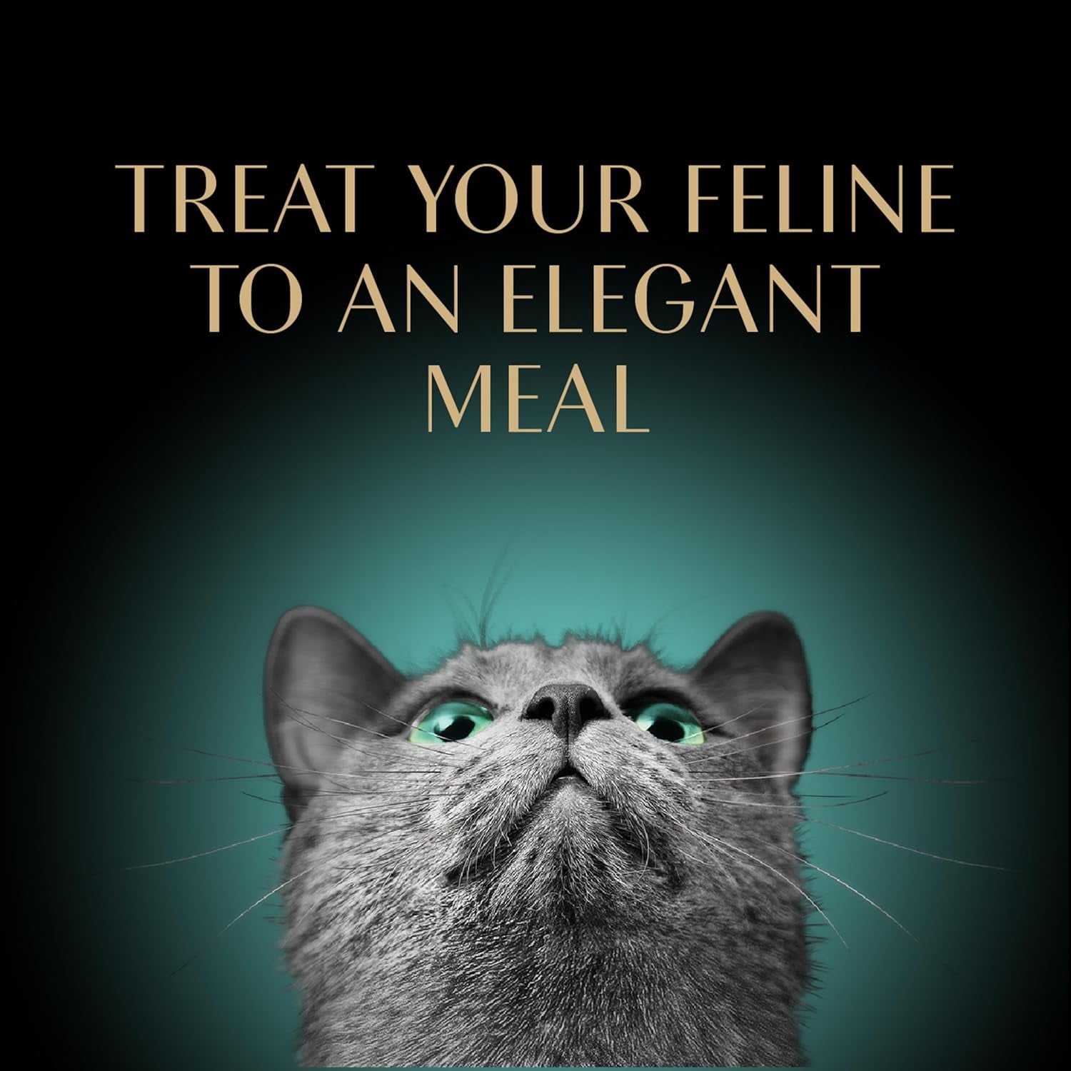 Perfect Portions Wet Cat Food Pate Savory Chicken Entree, 2.6 Oz. Twin-Pack Trays (24 Count, 48 Servings)