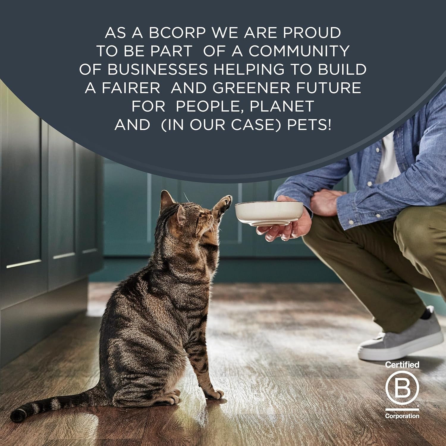 Natural Wet Cat Food, 24 Count, Grain Free, Limited Ingredient Canned Food for Cats, Tuna Fillet in Broth, 2.47 Oz Cans