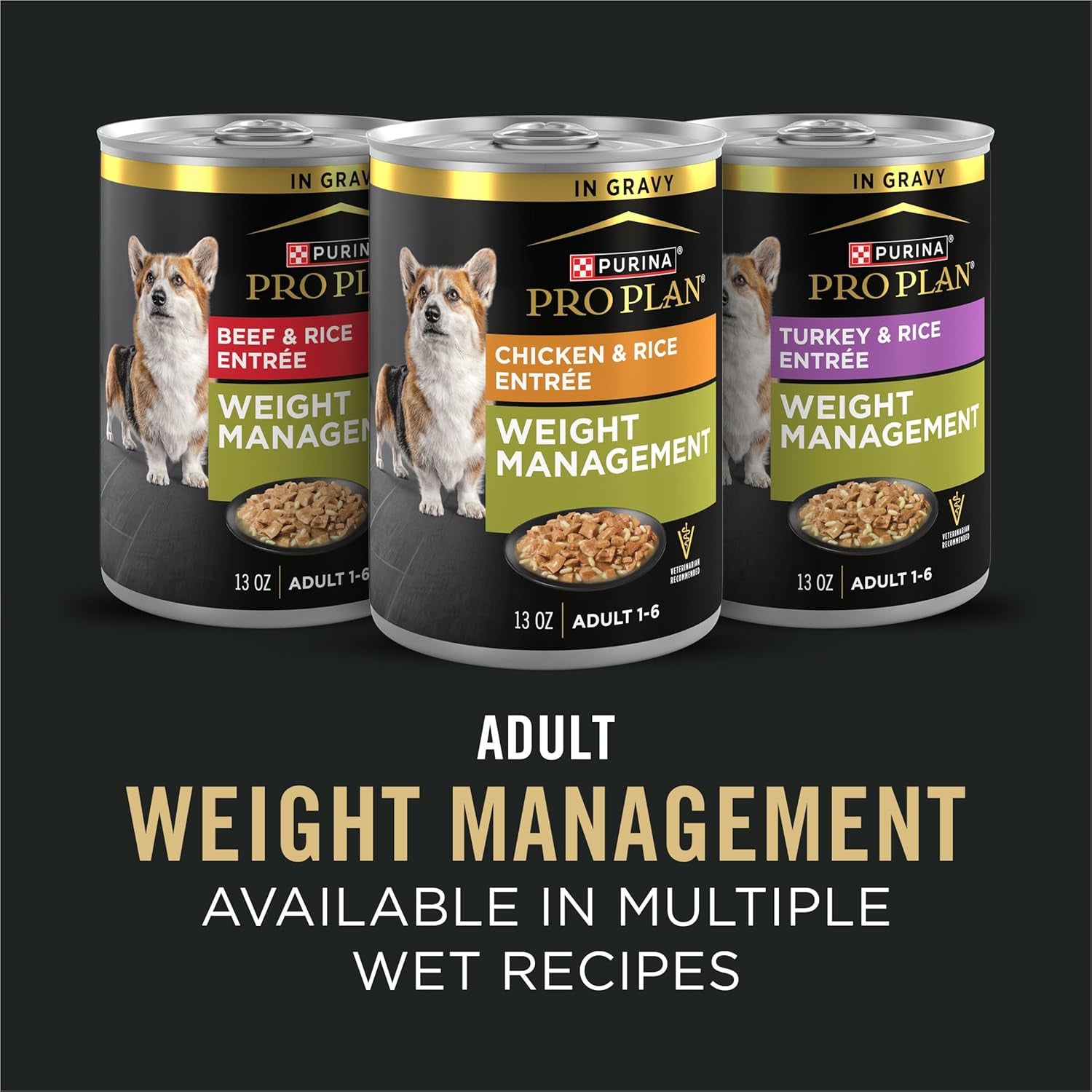 Weight Management Dog Food Dry, Shredded Blend Chicken and Rice Formula - 6 Lb. Bag