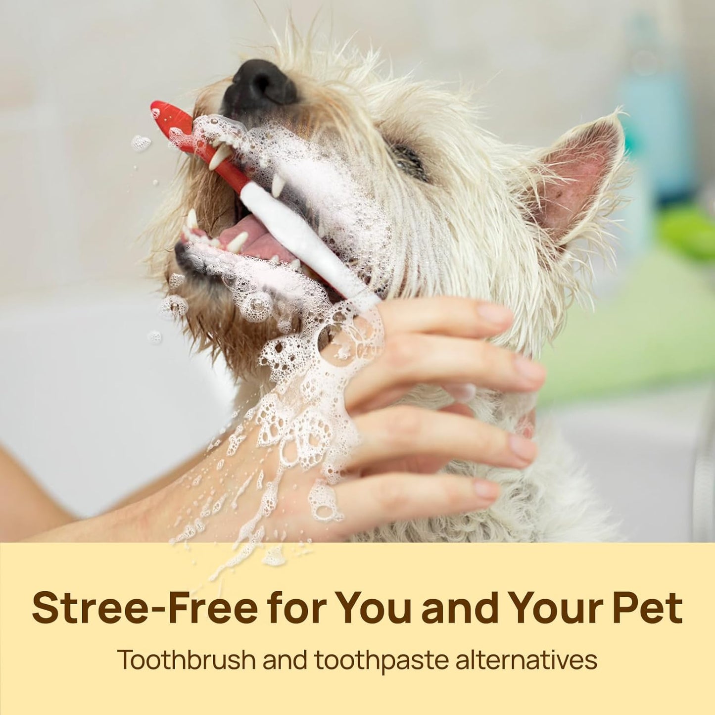 Teeth Cleaning Wipes for Dogs & Cats, Remove Bad Breath by Removing Plaque and Tartar Buildup No-Rinse Dog Finger Toothbrush, Disposable Gentle Cleaning & Gum Care Pet Wipes, 50 Counts