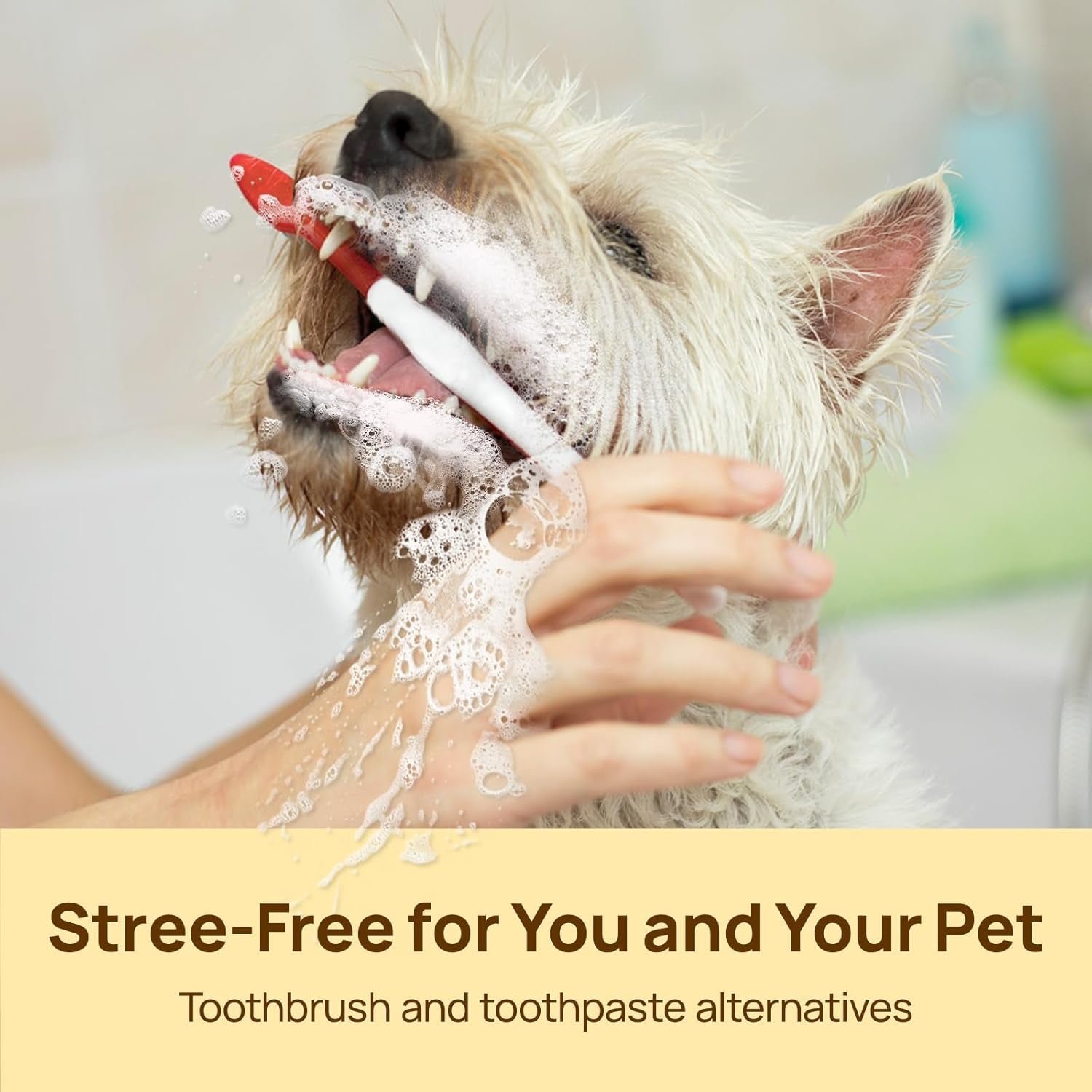 Teeth Cleaning Wipes for Dogs & Cats, Remove Bad Breath by Removing Plaque and Tartar Buildup No-Rinse Dog Finger Toothbrush, Disposable Gentle Cleaning & Gum Care Pet Wipes, 50 Counts