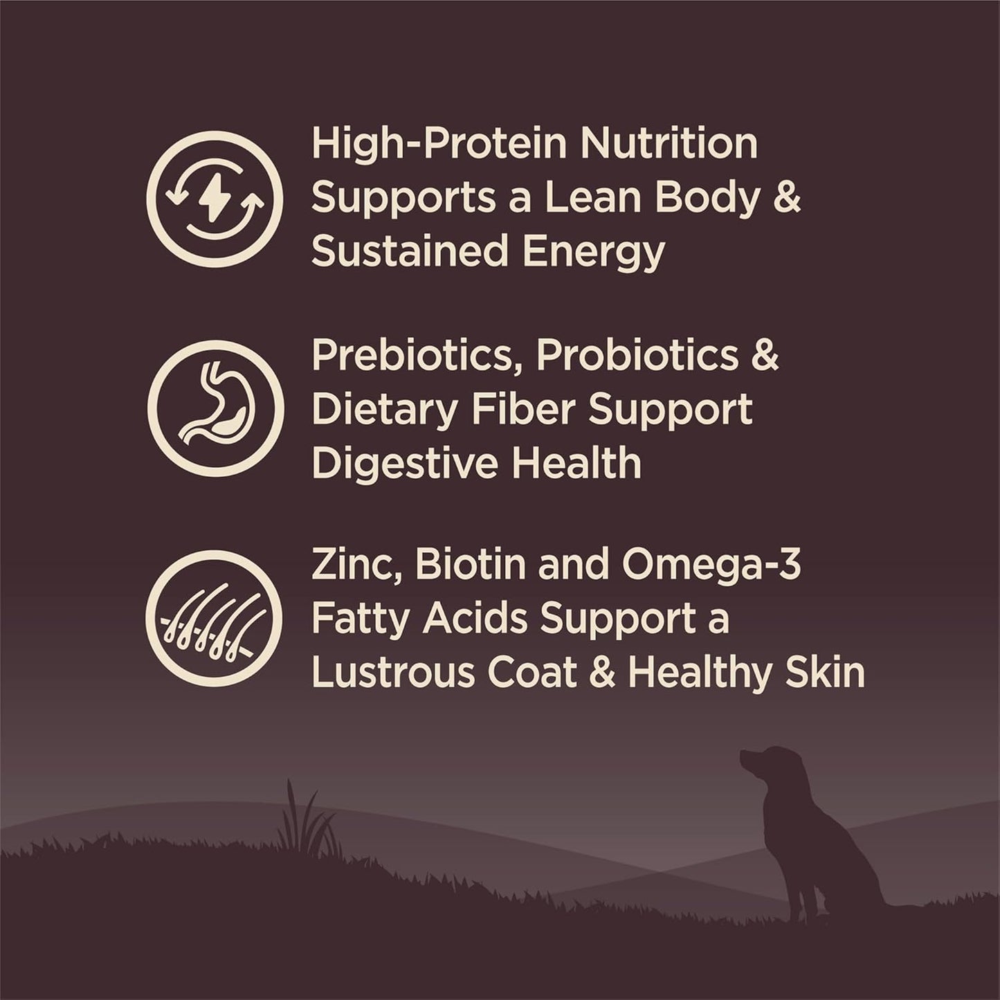 CORE Dry Dog Food, Small Breed, Grain-Free, High Protein, Natural, Original Turkey & Chicken Recipe, (12-Pound Bag)