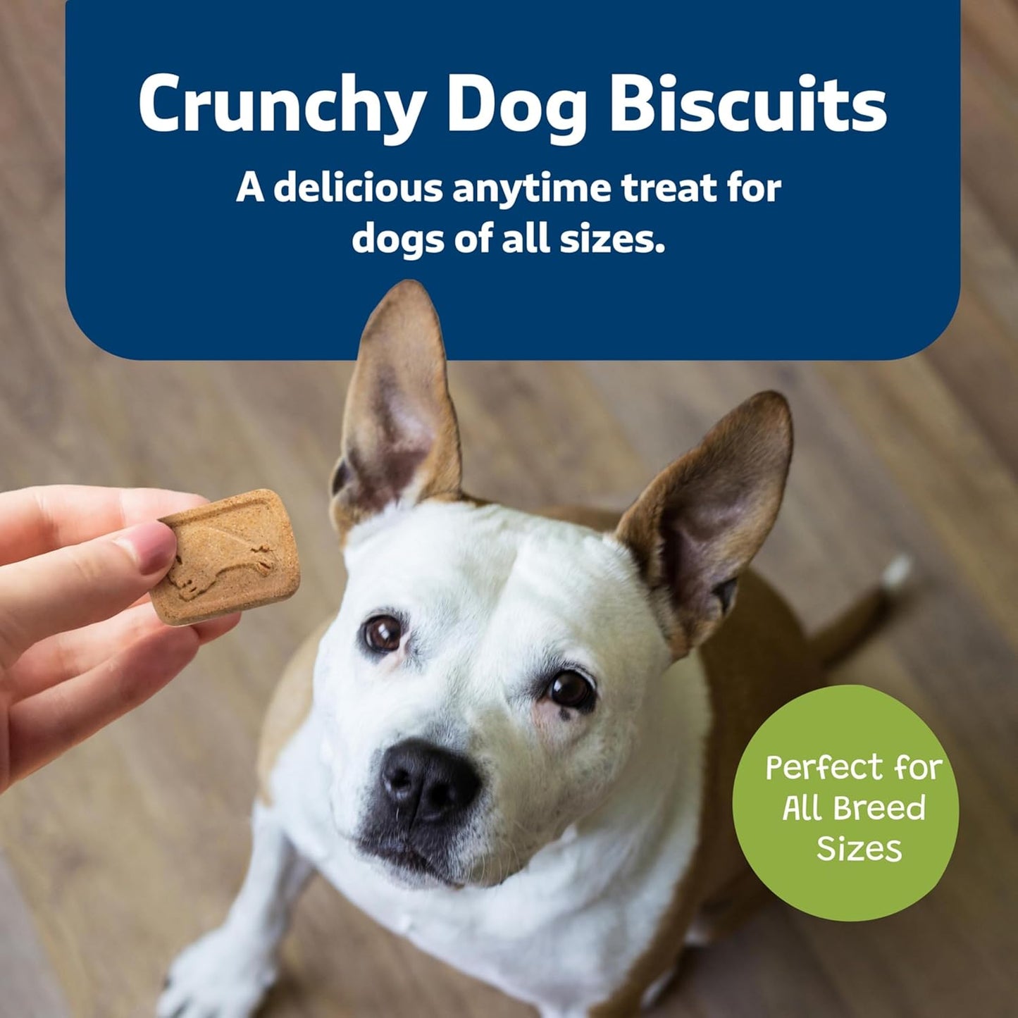 Mini Health Bars Crunchy Dog Biscuits, Oven-Baked with Natural Ingredients, Apples & Yogurt, 2-Lb Box
