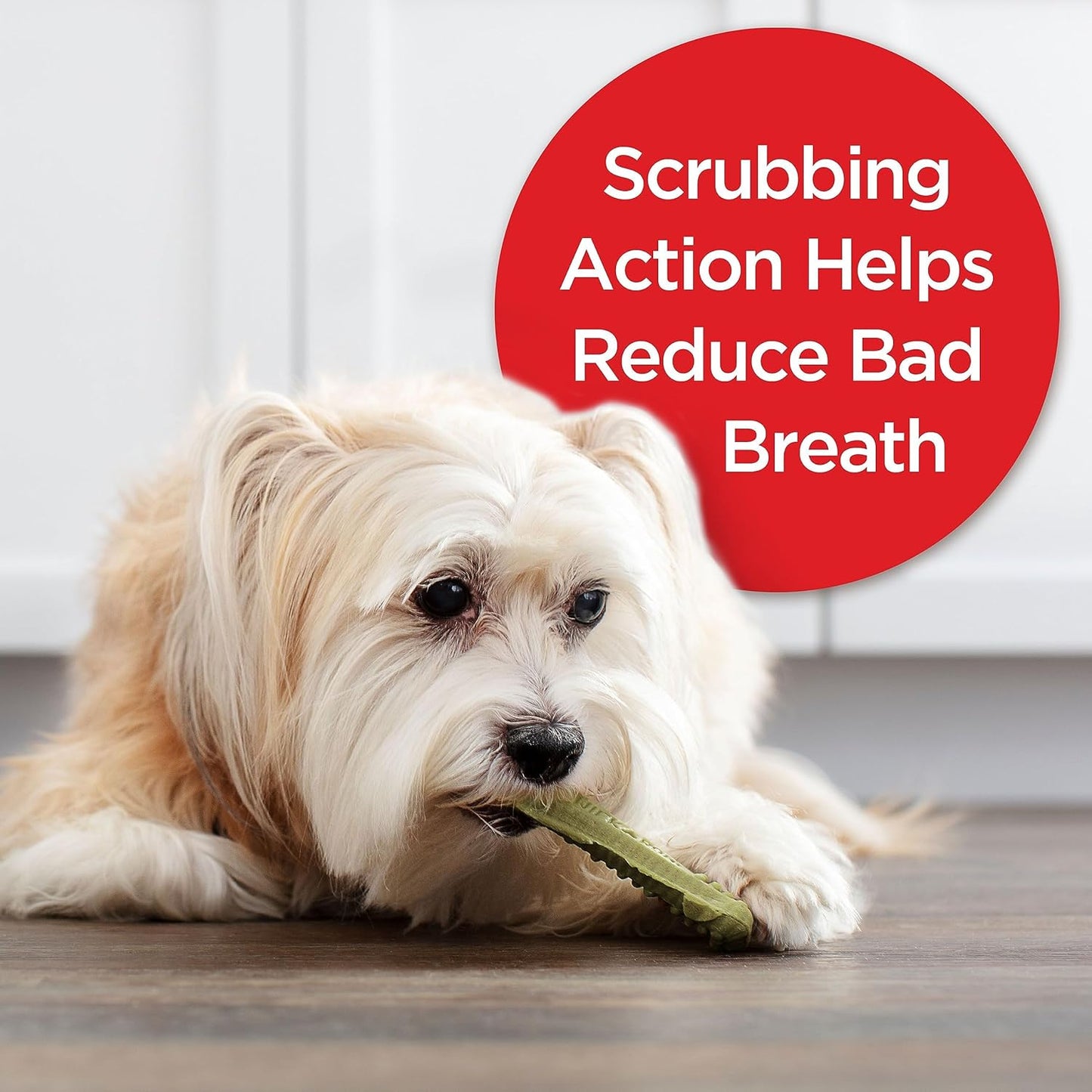 Fresh Breath Brushing Chews, 48 Mini Daily Dental Dog Treats Scrubbing Action Helps Clean Teeth