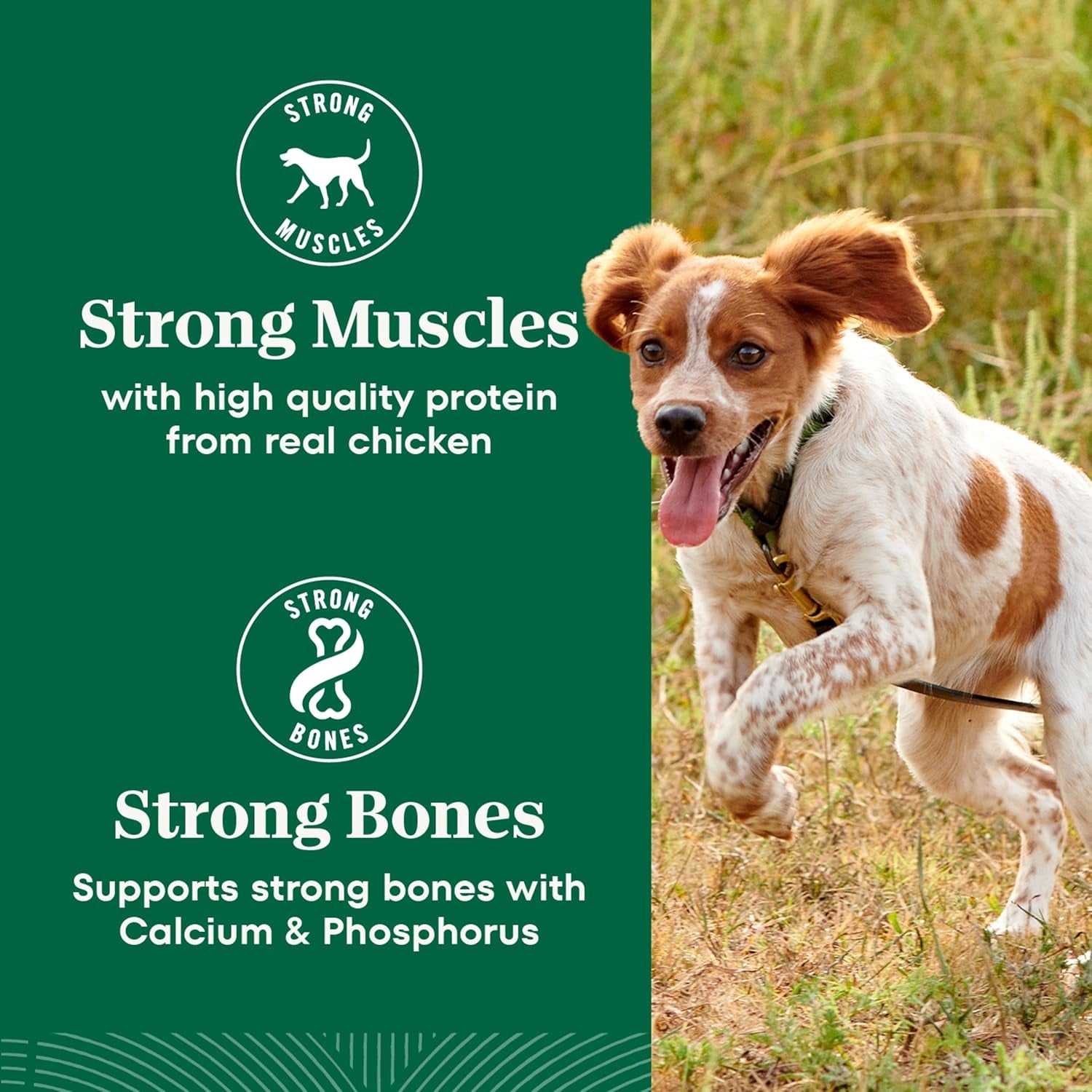 Natural Choice Chicken & Brown Rice Adult Small Bites Dog Food Recipe, 13 Lb. Bag