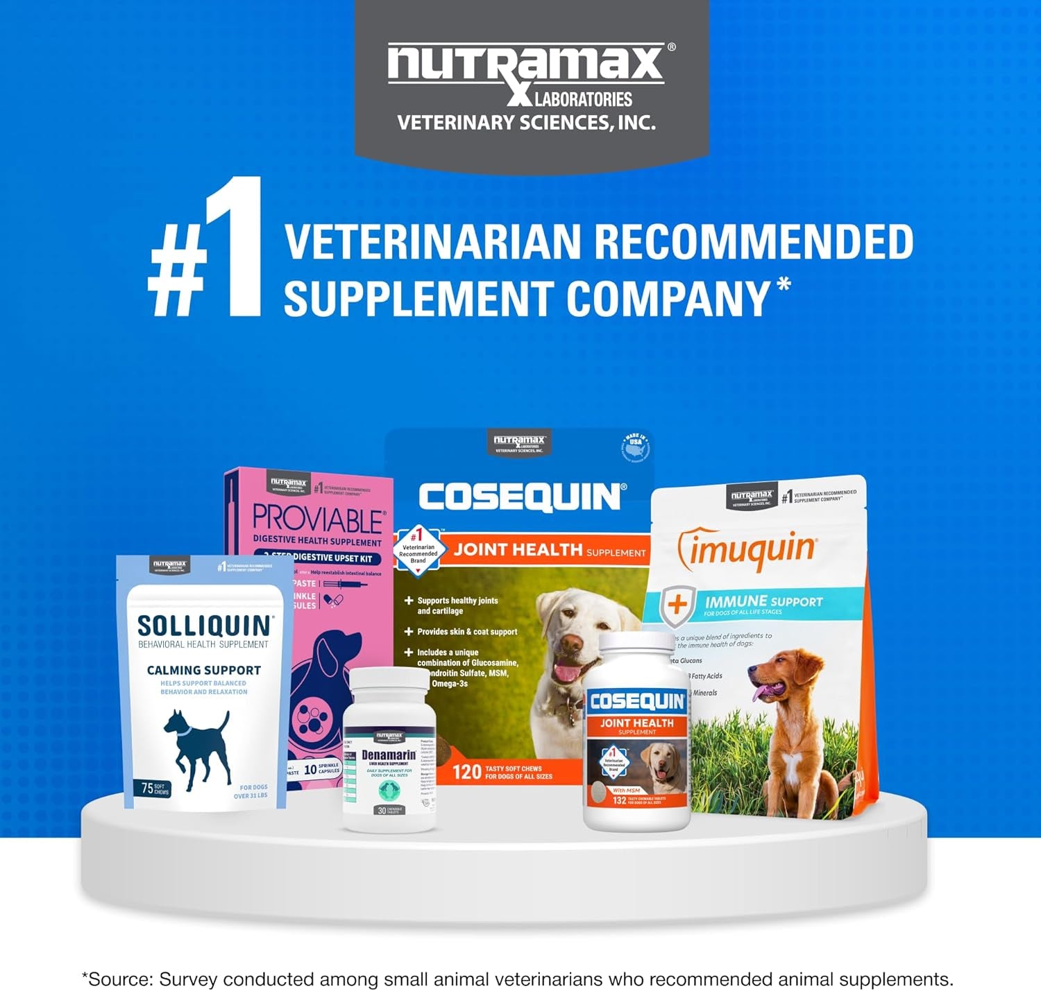 Cosequin for Dogs Joint Health Supplement, Contains Glucosamine for Dogs, plus Chondroitin and MSM, Supports Healthy Joints, Chewable Tablets, 132 Count