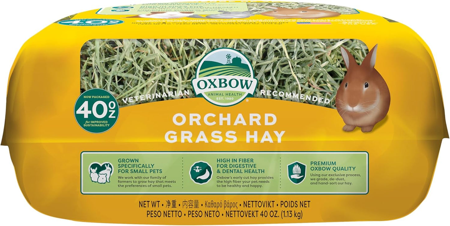Orchard Grass Hay for Small Pets – All-Natural Long Strand Fiber Hay for Rabbits, Guinea Pigs, Chinchillas, and Hamsters – Supports Digestive Health and Enrichment – 40 Oz Bag