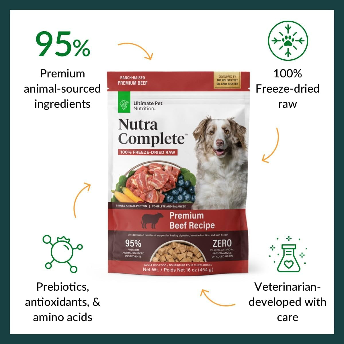 Nutra Complete, 100% Freeze Dried Raw Veterinarian Formulated Dog Food with Antioxidants Prebiotics and Amino Acids (1 Pound, Beef)