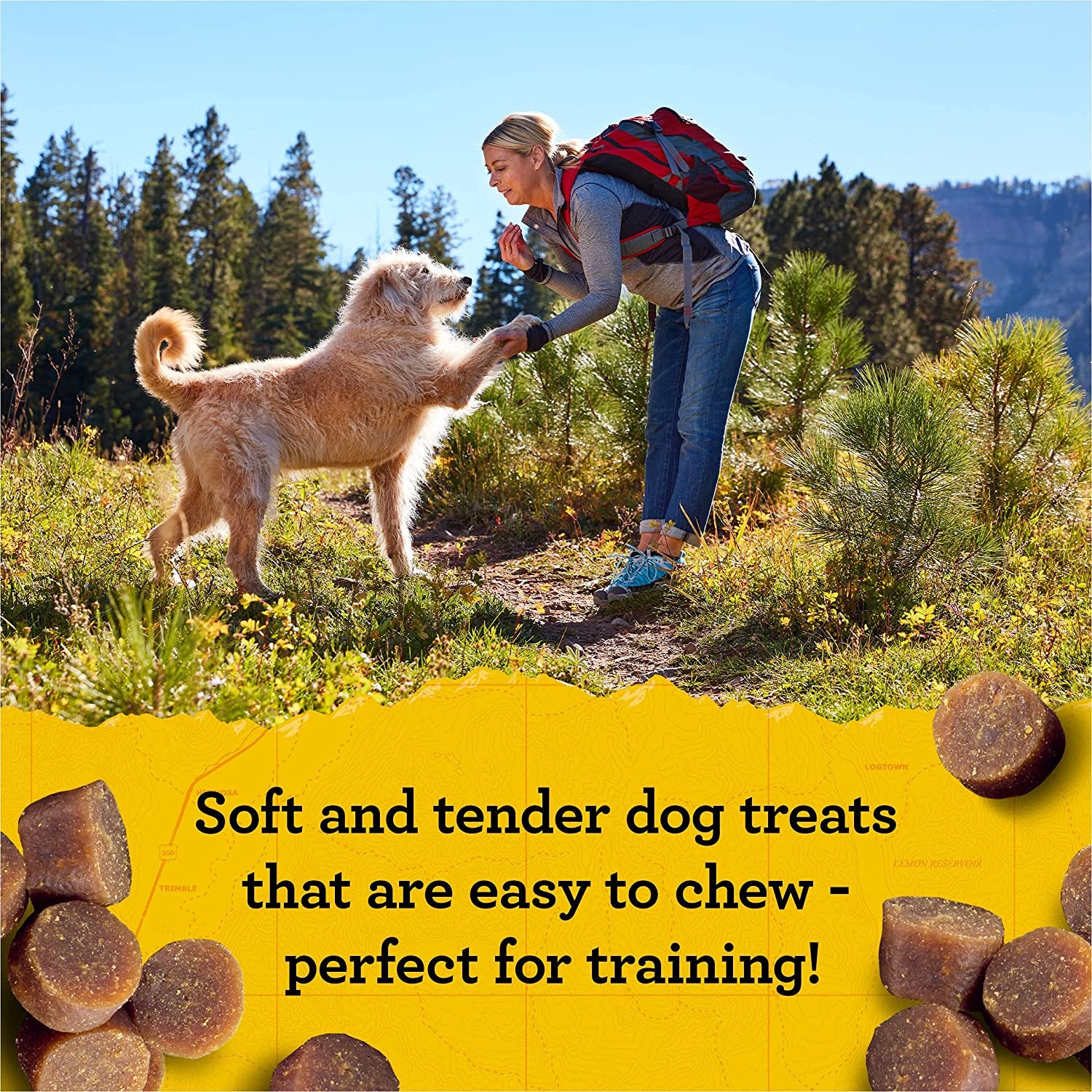 Zuke’S Mini Naturals Dog Training Treats for Dogs, Pet Treats Made with Real Beef, 16 Oz. Resealable Pouch - 16 Oz. Bag