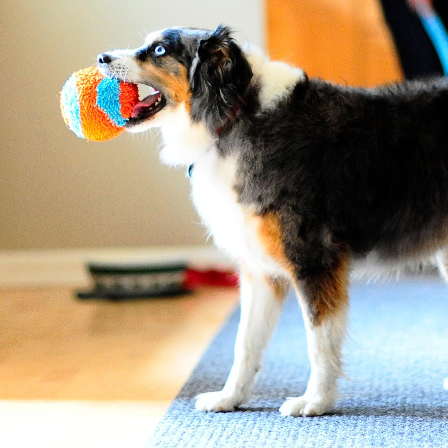 Indoor Fetch Ball Dog Toy for Dogs - Interactive Dog Toys for Boredom, 4.75 Inch, Orange and Blue