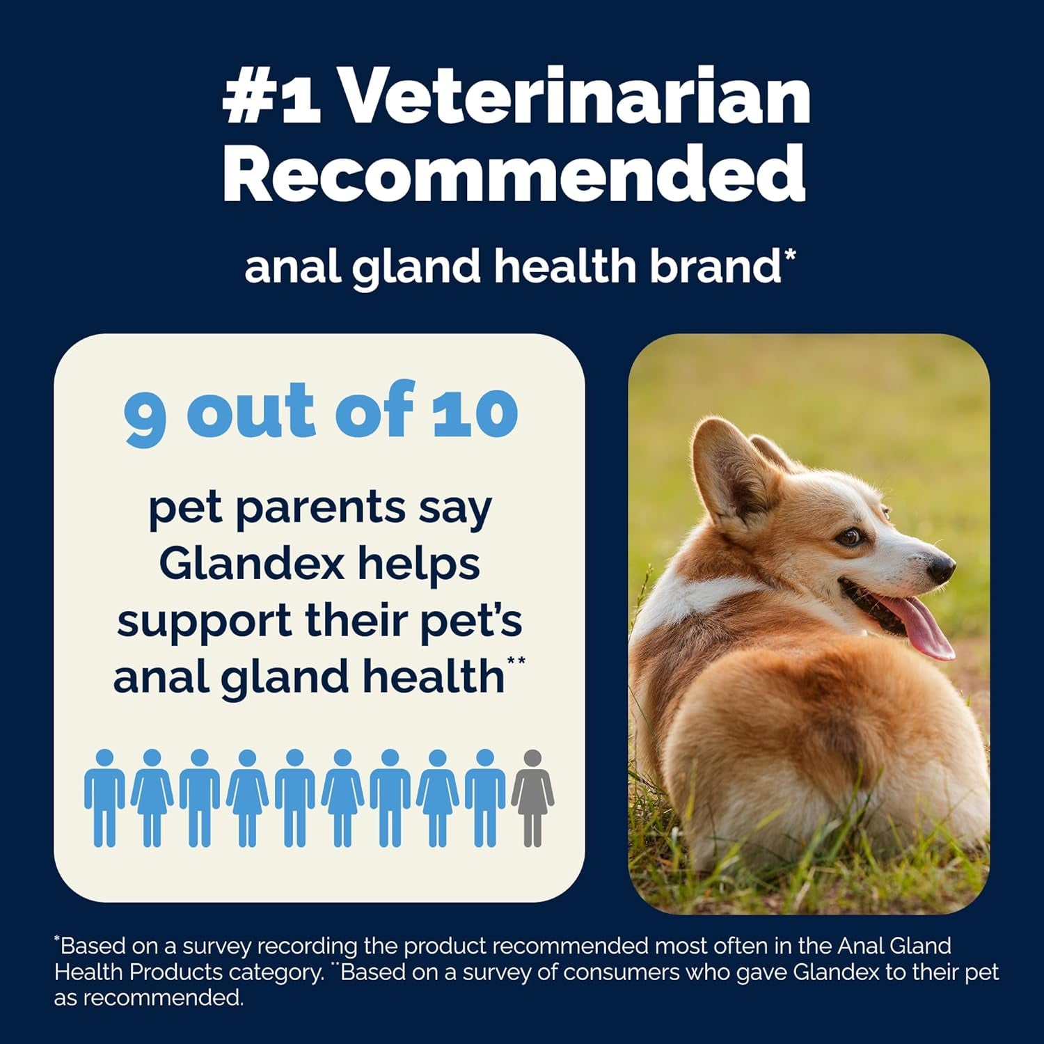 Glandex Anal Gland Soft Chew Treats with Pumpkin for Dogs Digestive Enzymes, Probiotics Fiber Supplement for Dogs Boot the Scoot (Advanced Strength Duck/Bacon Chews (Vegetarian), 120 Ct)