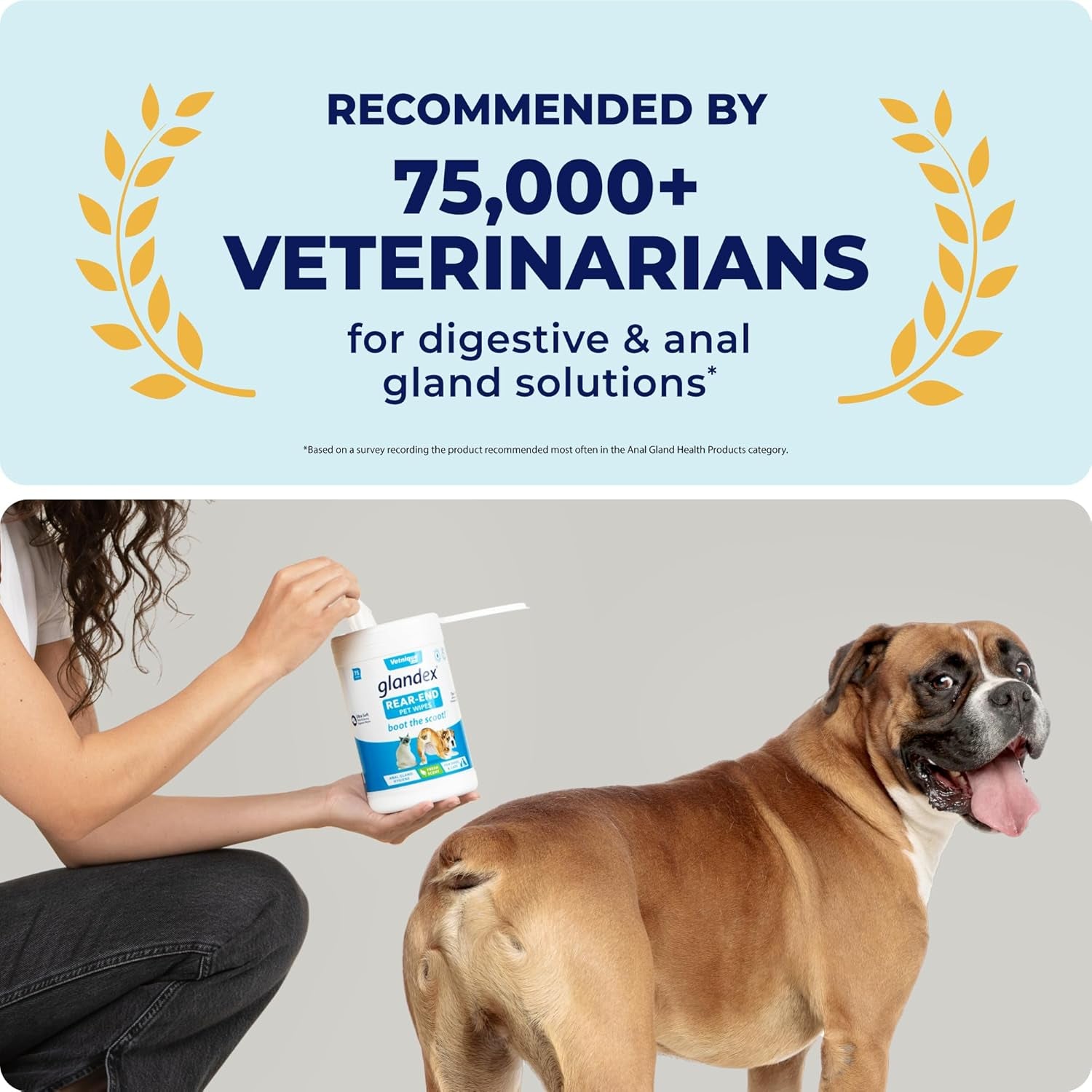 Labs Glandex Dog Wipes for Pets Cleansing & Deodorizing Anal Gland Hygienic Dog & Cat Wipes with Vitamin E, Skin Conditioners and Aloe (100Ct Pouch)