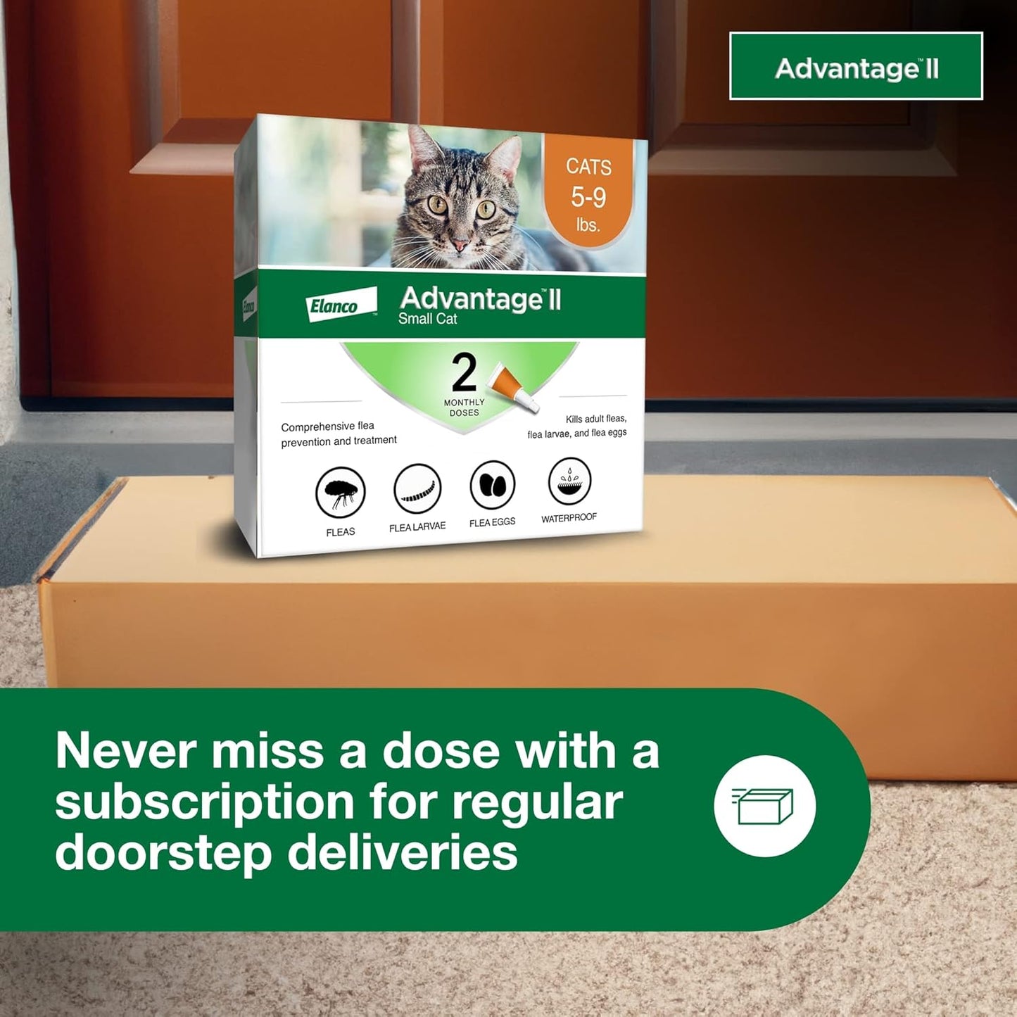 II Small Cat Vet-Recommended Flea Treatment & Prevention | Cats 5-9 Lbs. | 2-Month Supply