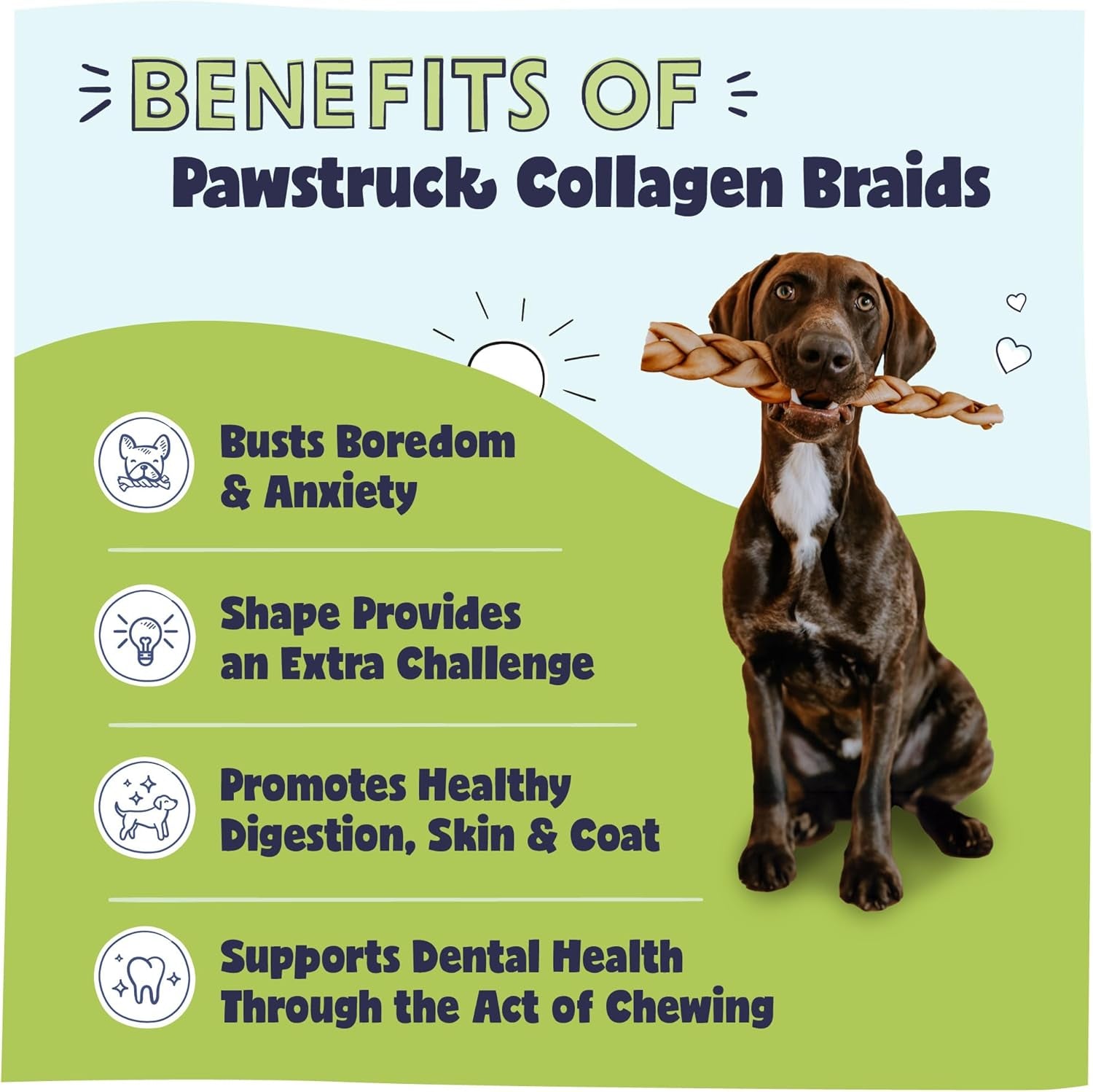 Natural Large 10-13” Beef Collagen Braids for Dogs – Long-Lasting Rawhide & Bully Stick Alternative, with Chondroitin & Glucosamine – 3 Pack