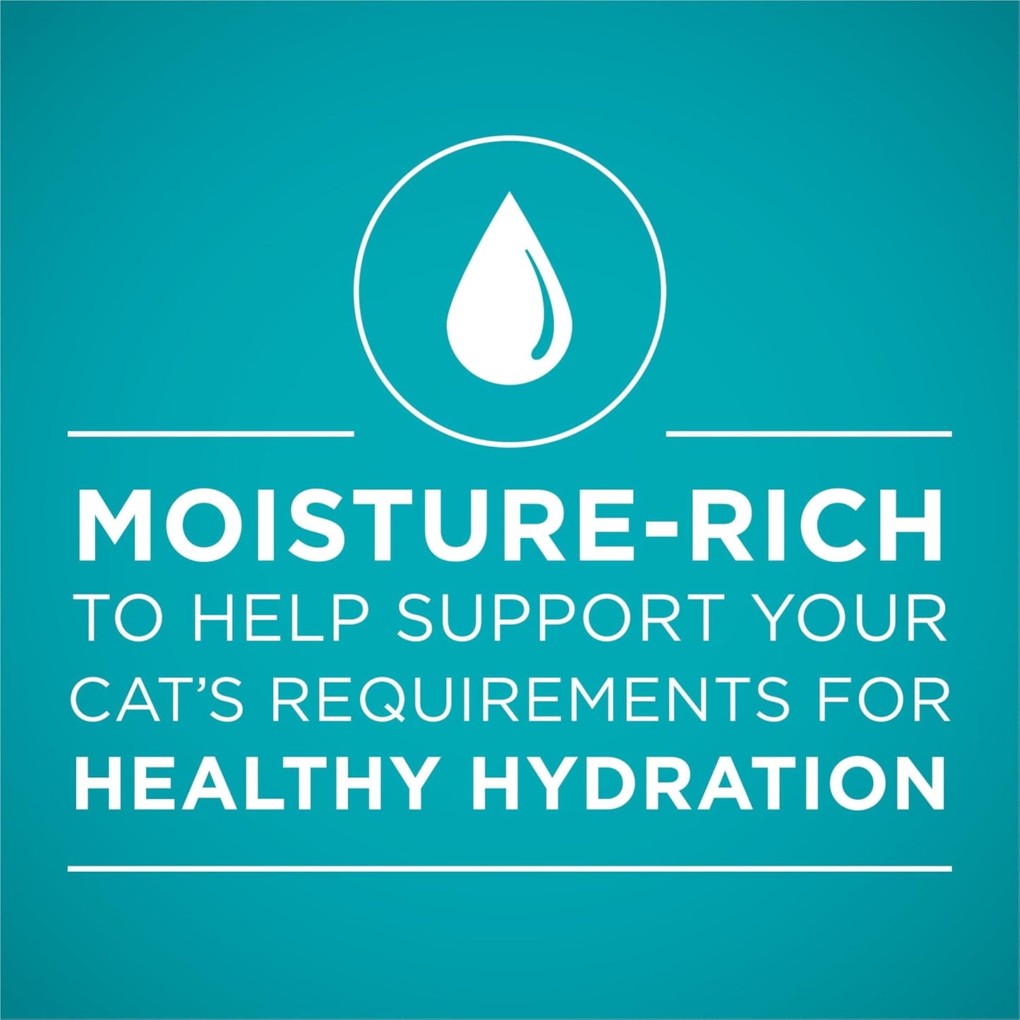 Natural High Protein Cat Food, Chicken Recipe in Wet Cat Food Gravy - (Pack of 24) 3 Oz. Pull-Top Cans