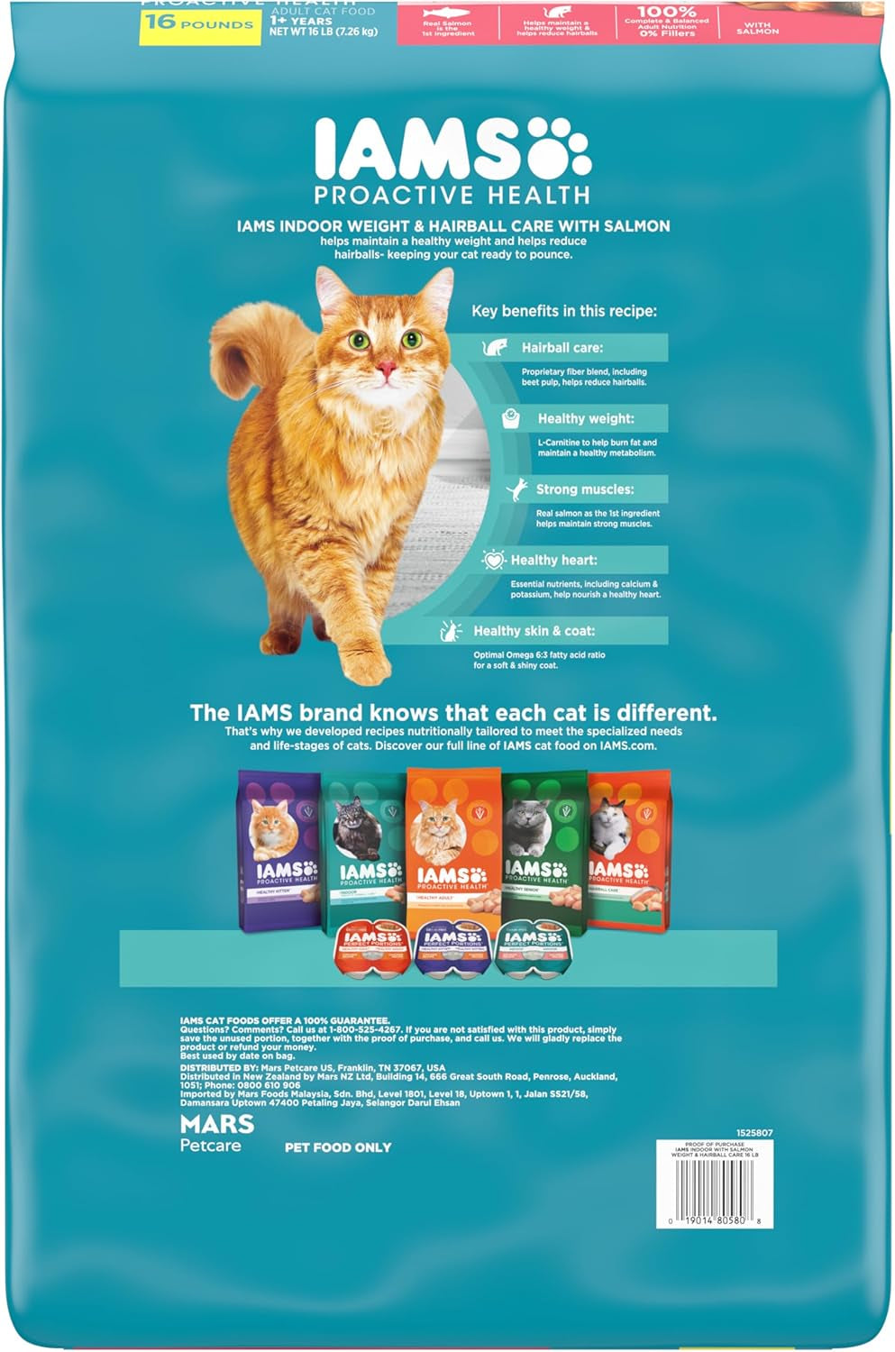 Proactive Health Indoor Weight Control & Hairball Care Adult Dry Cat Food, Salmon Recipe, 16 Lb. Bag