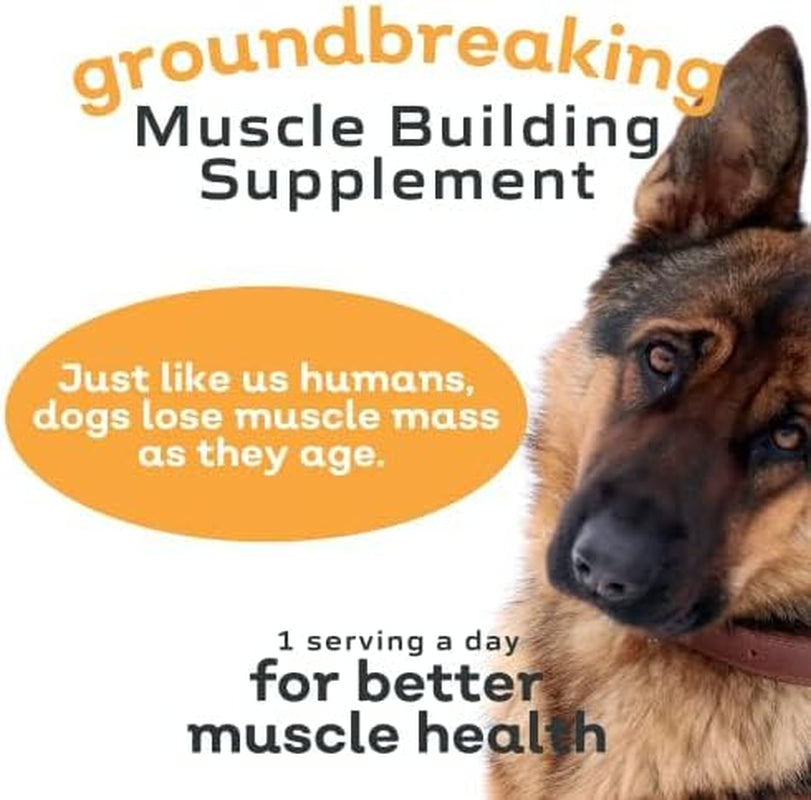 - All-Natural Muscle Building Supplement - Helps Reduce Muscle Loss in Dogs Due to Normal Aging and Improves Recovery from Injury or Surgery