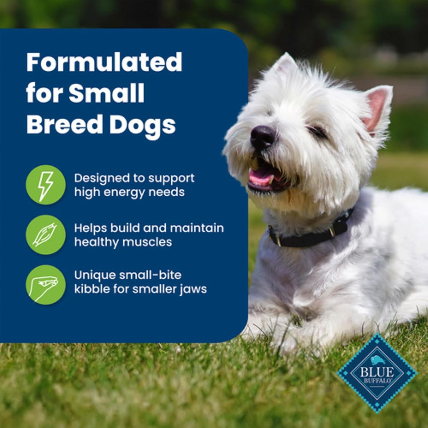 Life Protection Formula Natural Adult Small Breed Dry Dog Food, Lamb and Brown Rice 5-Lb Trial Size Bag