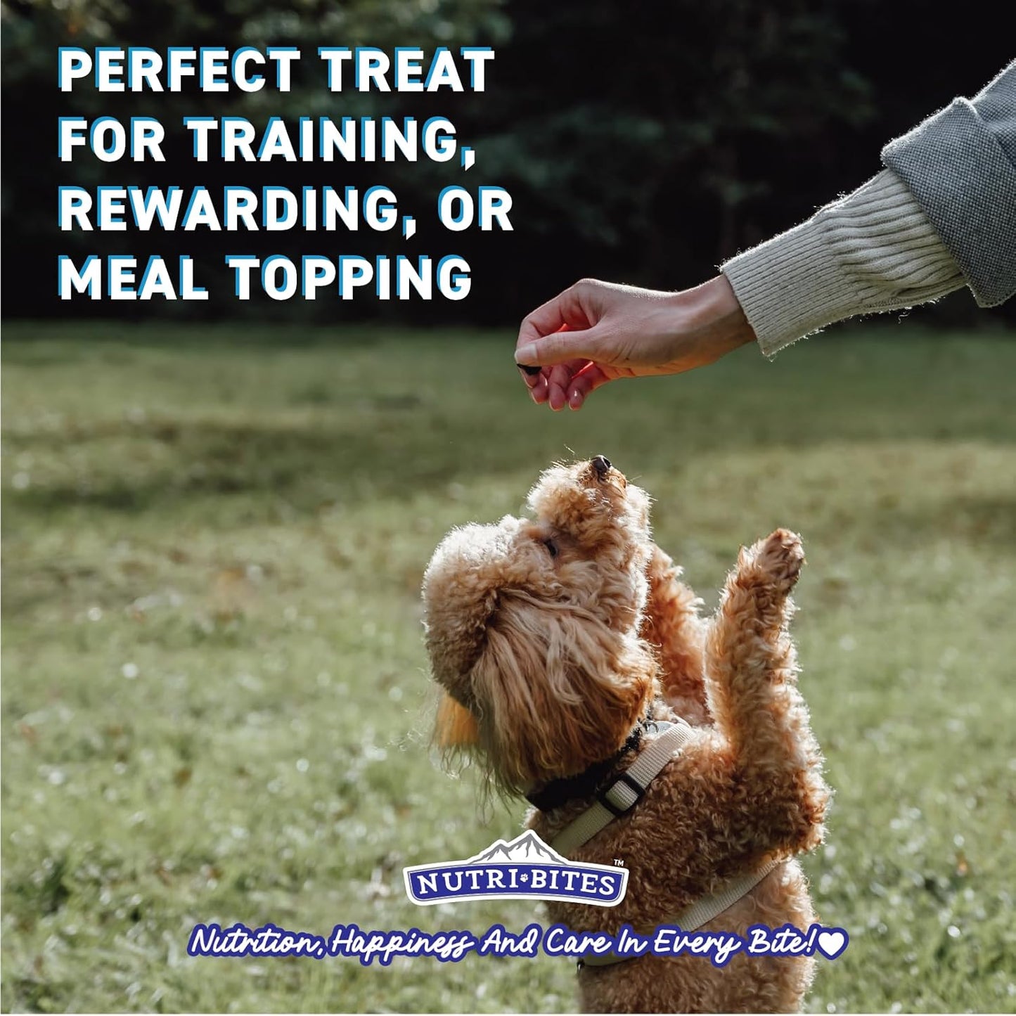 Freeze Dried Chicken Dog & Cat Treats | Healthy Pet Training Treats or Food Topper | All Natural, 1 Single Animal Protein, High Protein | Premium Bulk Value Pack, 15 Oz