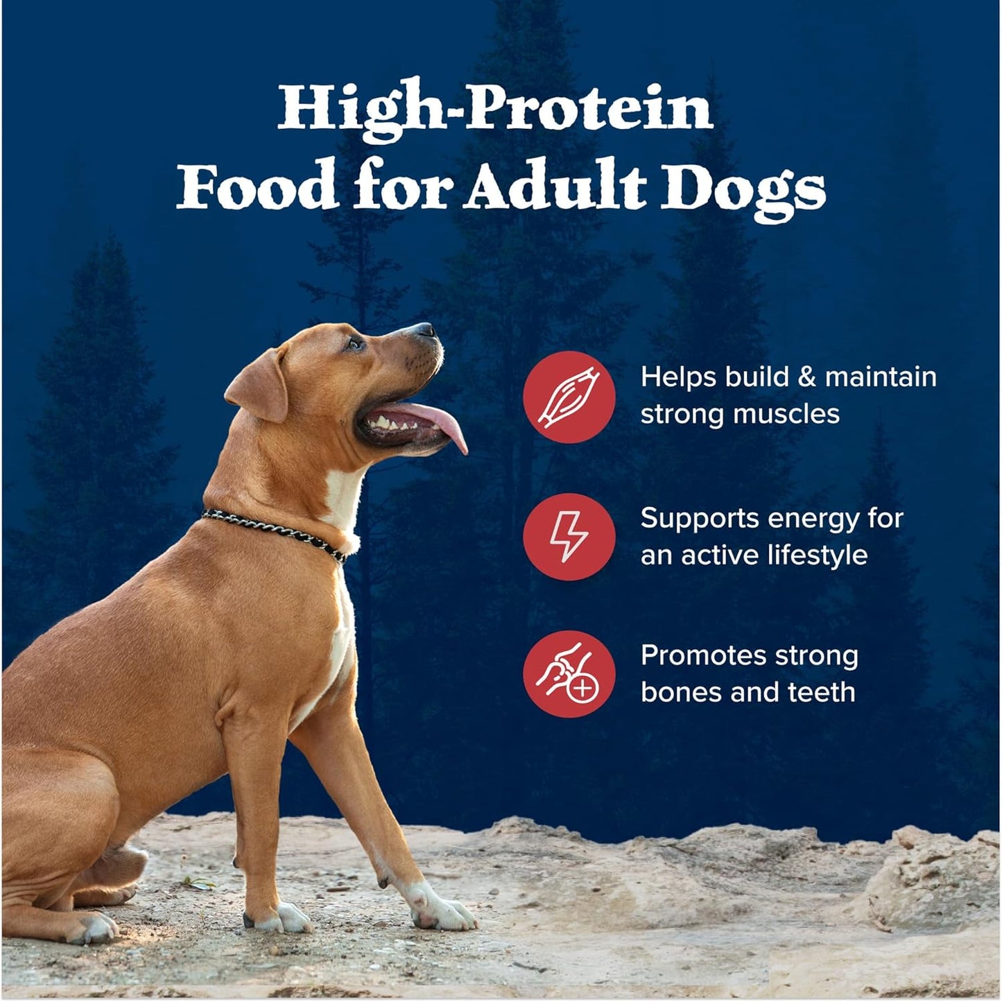 Wilderness Rocky Mountain Recipe High-Protein Adult Dry Dog Food Wholesome Red Meat, 4.5 Lb Bag
