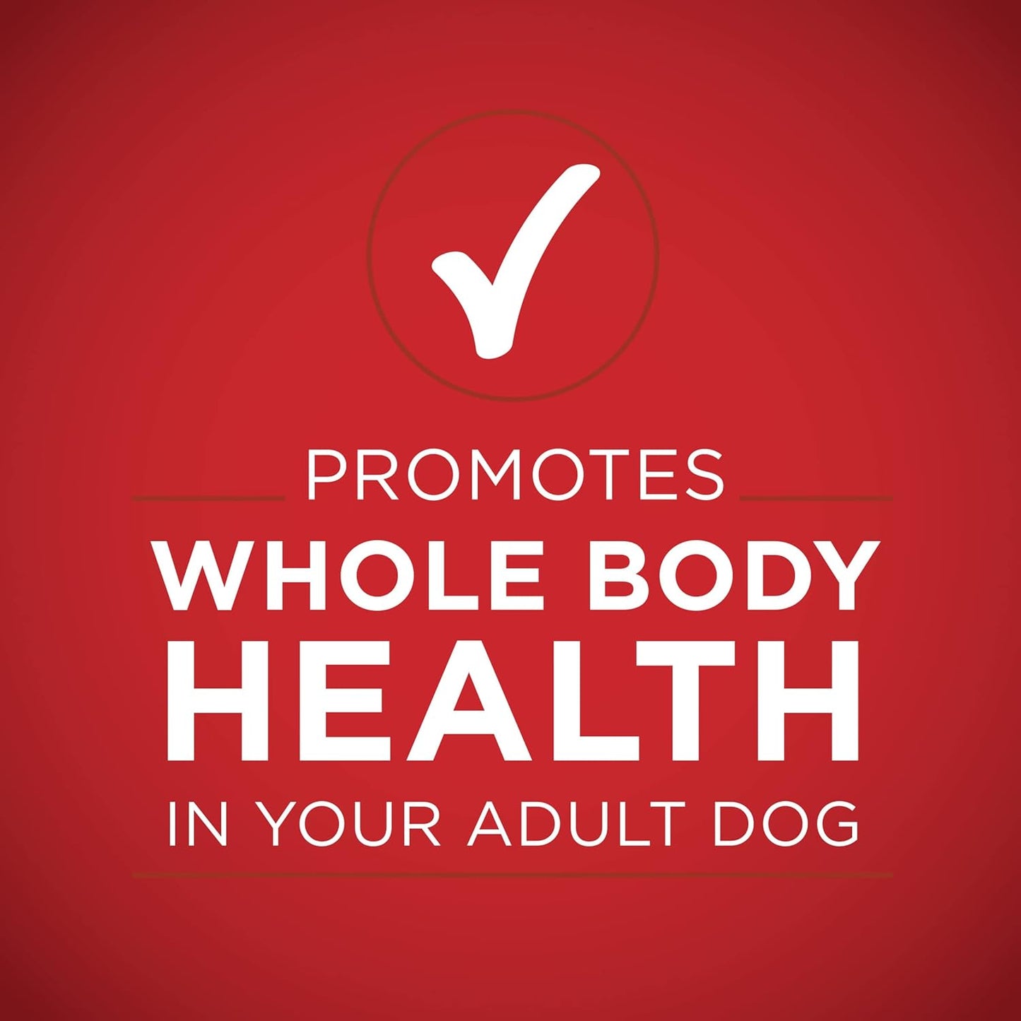 Natural Wet Dog Food Gravy, Tender Cuts in Gravy Beef and Barley Entrée - 13 Ounce (Pack of 12)