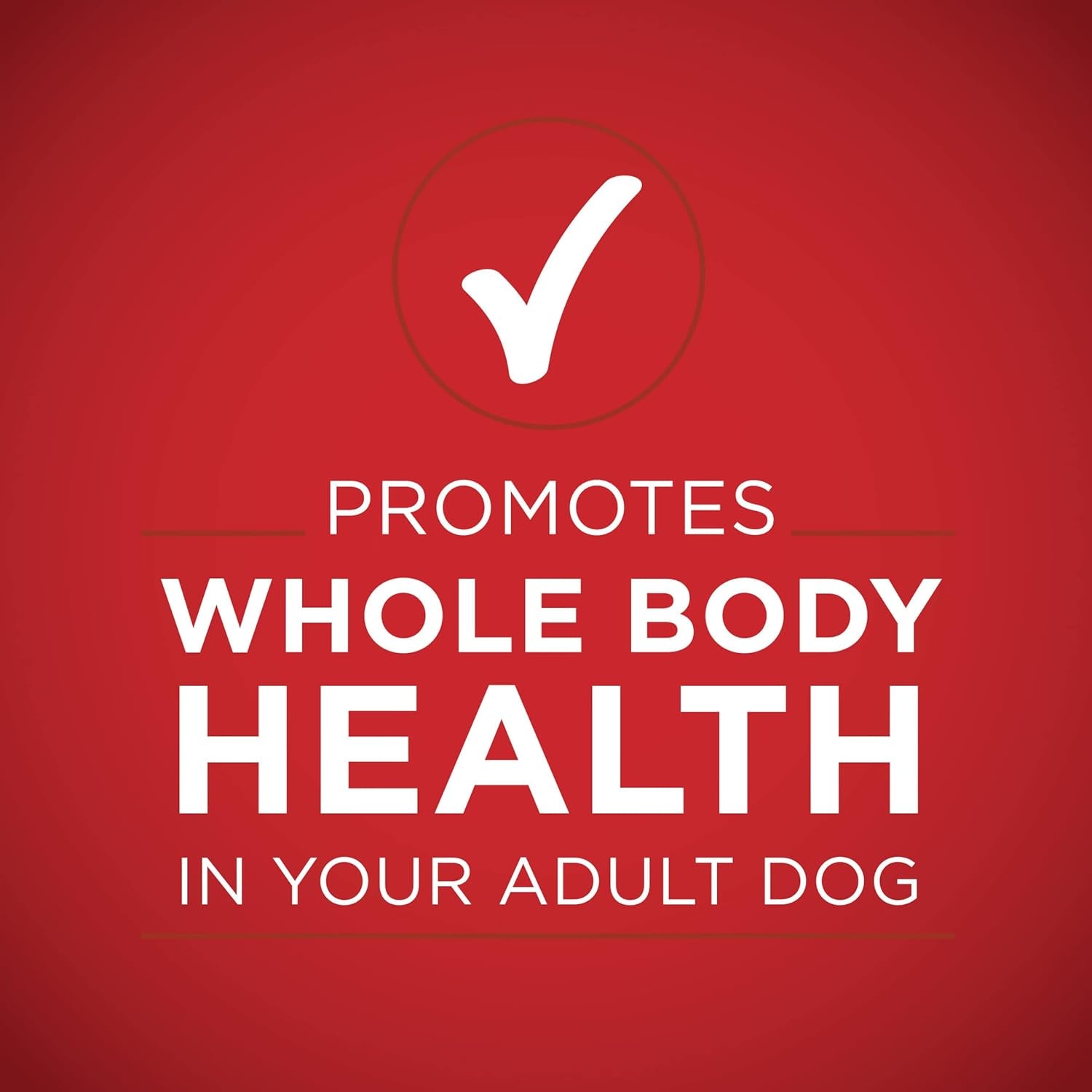 Natural Wet Dog Food Gravy, Tender Cuts in Gravy Beef and Barley Entrée - 13 Ounce (Pack of 12)