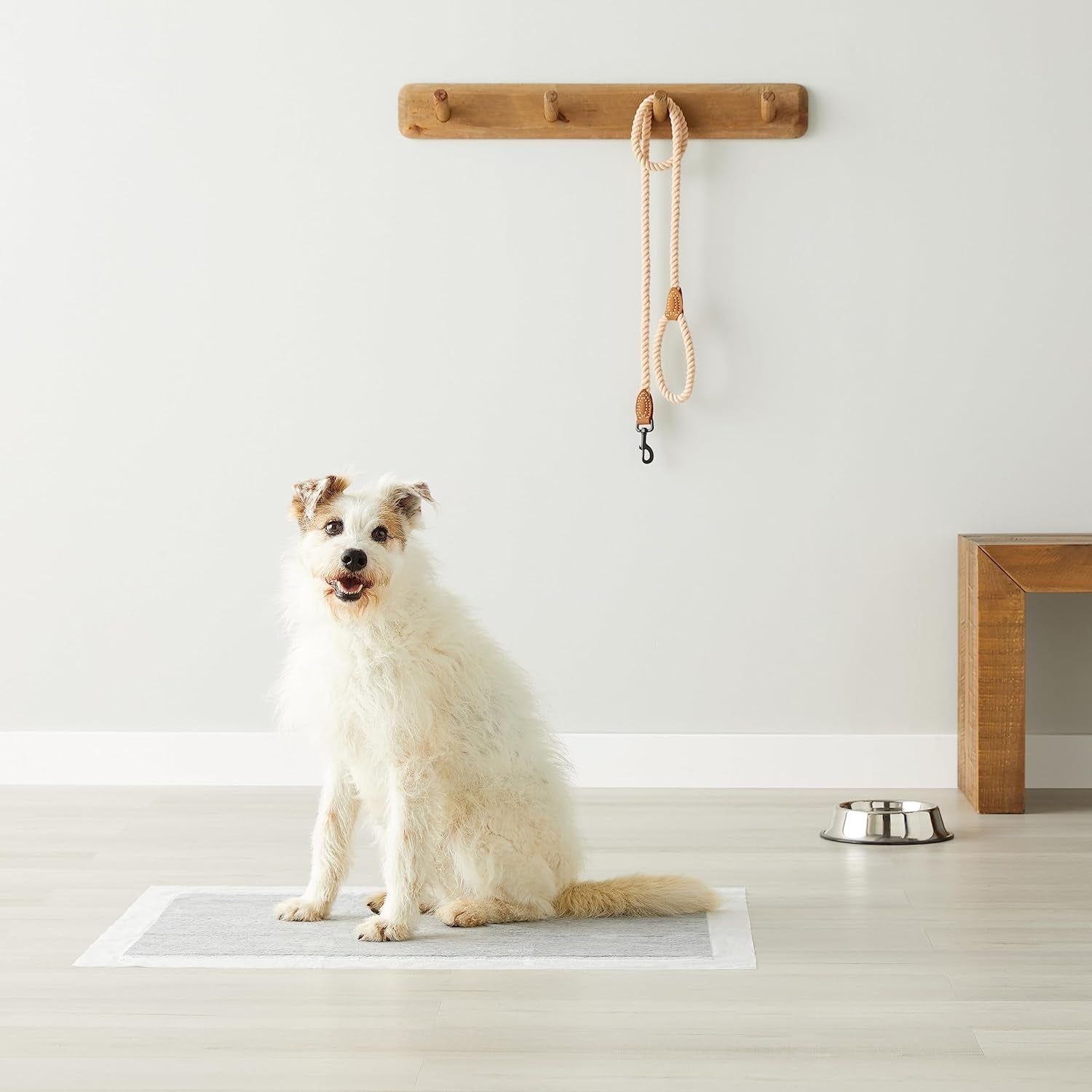 Carbon Odor-Control Dog and Puppy Pee Pads, 5-Layer Leak-Proof Super Absorbent, Quick-Dry Surface, Potty Training, X-Large (28X34"), 50 Count, Gray