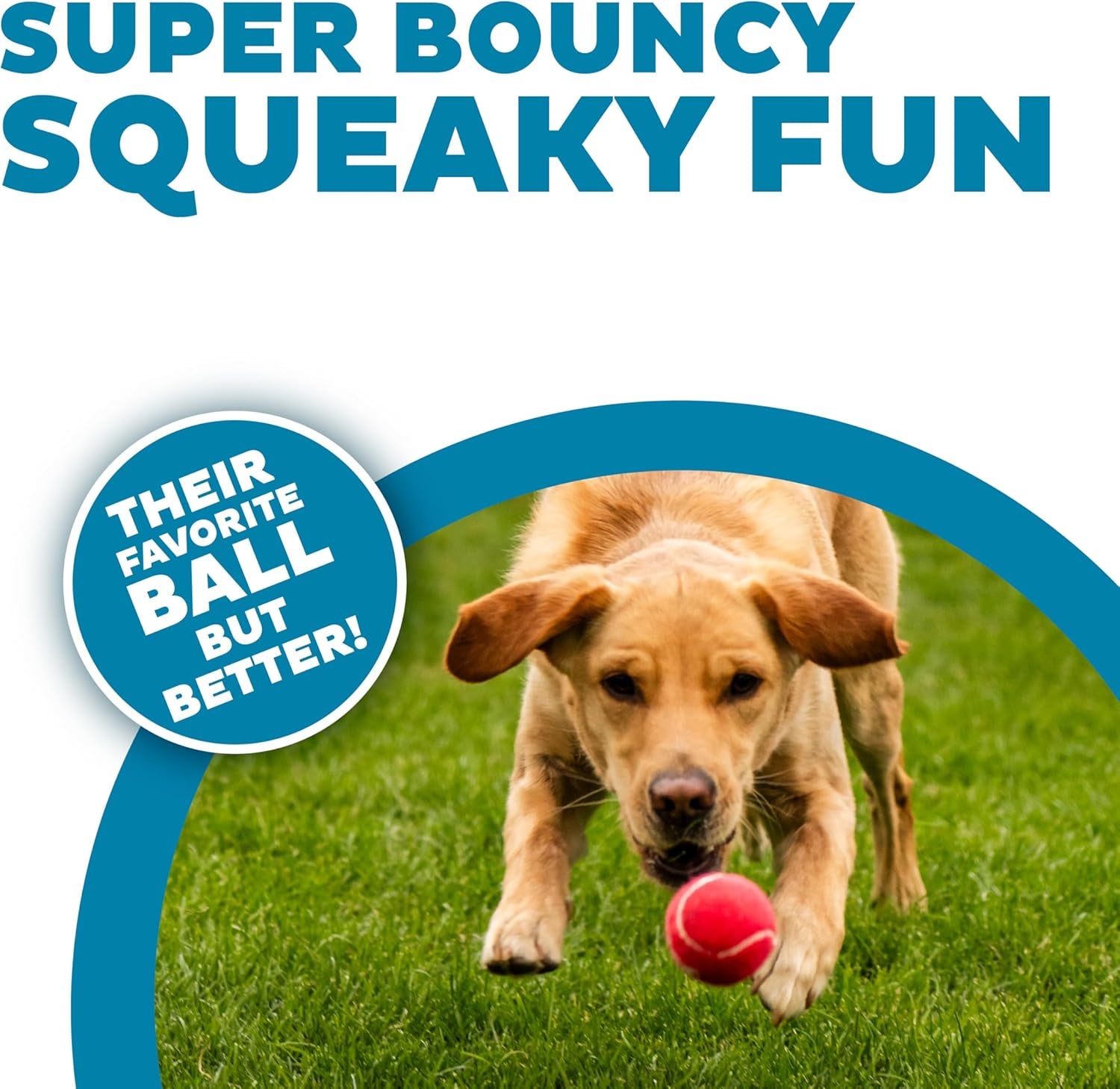 Squeaker Ballz, Interactive Dog Toy, Squeaky Tennis Ball, Durable Dog Toy for Fetch, Multi-Pack of 4, Medium