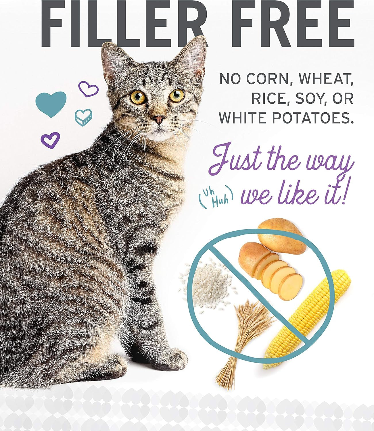 Wet Cat Food - Ninja Cat Jiu Jit Stew Variety Pack - Chicken, Salmon, Tuna, Grain Free, Filler Free, 3Oz Pack of 12 Cans