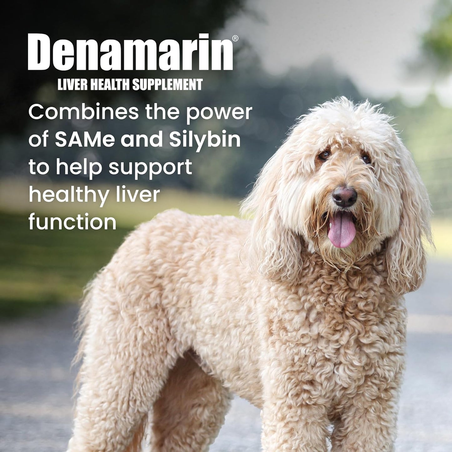 Denamarin Liver Health Supplement for Large Dogs - with S-Adenosylmethionine (Same) and Silybin, 30 Tablets(Pack of 1)