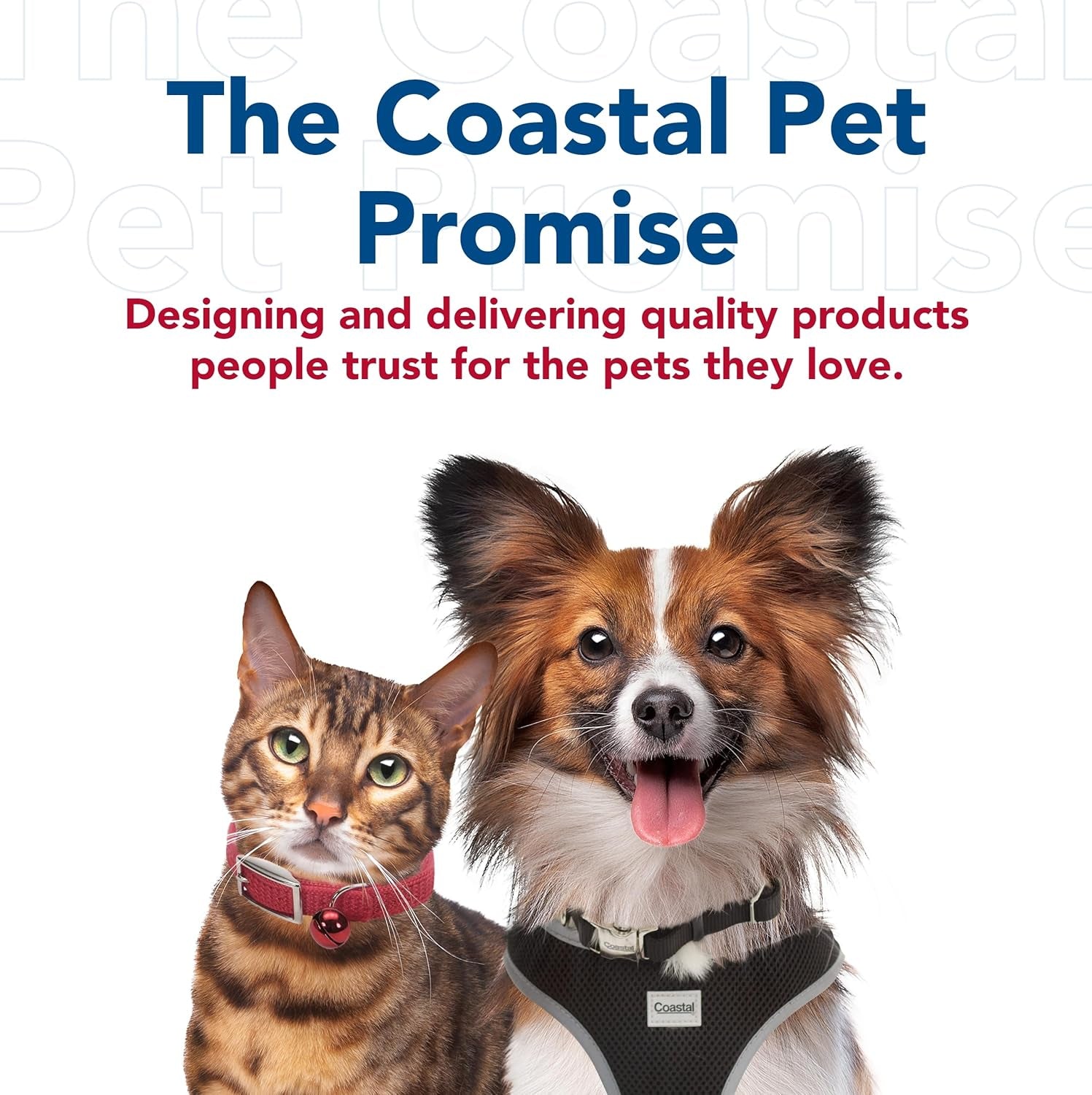Pet Safari Professional Dog Nail Trimmer - Nail Clippers & Supplies for Grooming - Dog Claw Care for Small & Large Pets - Large, 6.6" X 2"