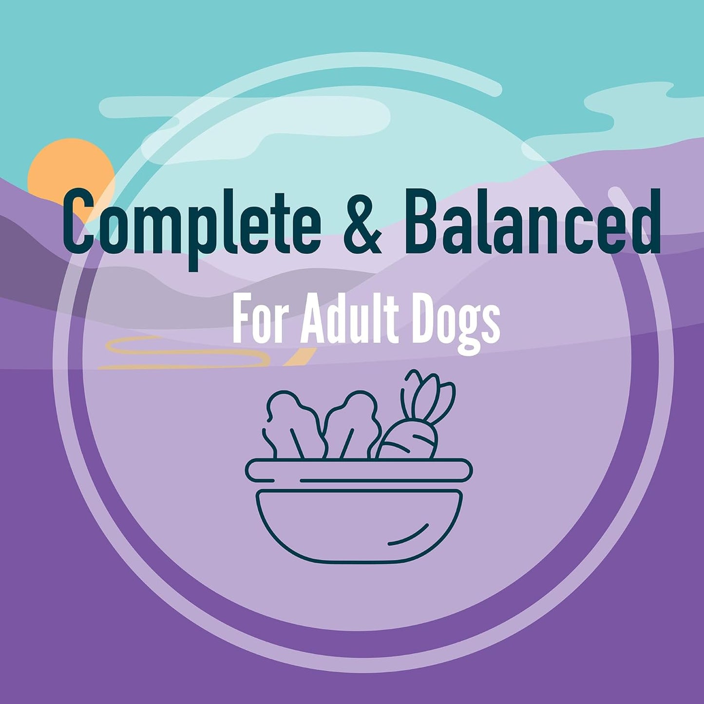 A Strong Heart Wet Dog Food, Chicken & Rice Dinner - 13.2 Oz Cans (Pack of 12), Made in the USA with Real Chicken