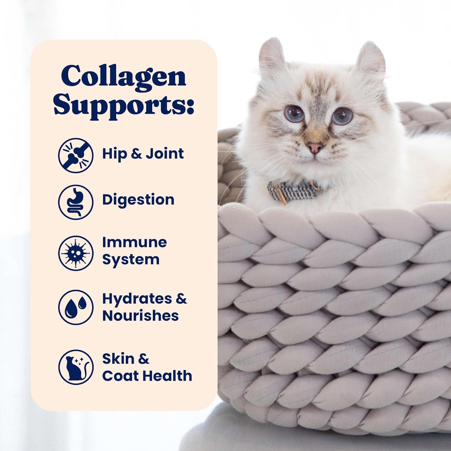 Bone Broth Cat Food Topper - Limited Ingredient Lickable Cat Broth Pouches W/Chicken Protein Shreds & Collagen for Hydration & Gut Support - Easy to Serve Gravy for Cats Meal Topper - 12Ct