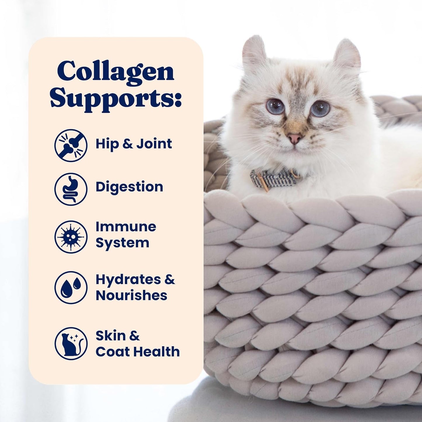 Bone Broth Cat Food Topper - Limited Ingredient Lickable Cat Broth Pouches W/Salmon Protein Shreds & Collagen for Hydration & Gut Support - Easy to Serve Gravy for Cats Meal Topper - 12Ct