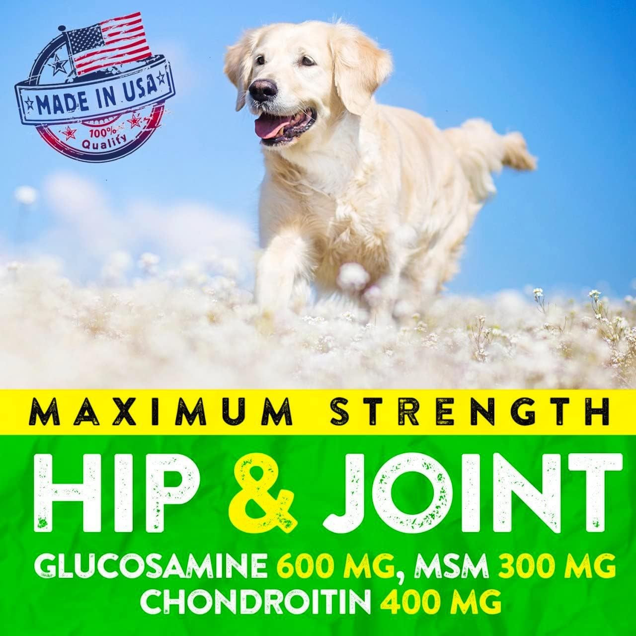 Hemp Hip and Joint Supplement for Dogs - Glucosamine for Dogs - 170 Dog Joint Pain Relief Treats - Chondroitin, Hemp Oil, MSM - Mobility & Flexibility Support - Advanced Care Health - Made in USA