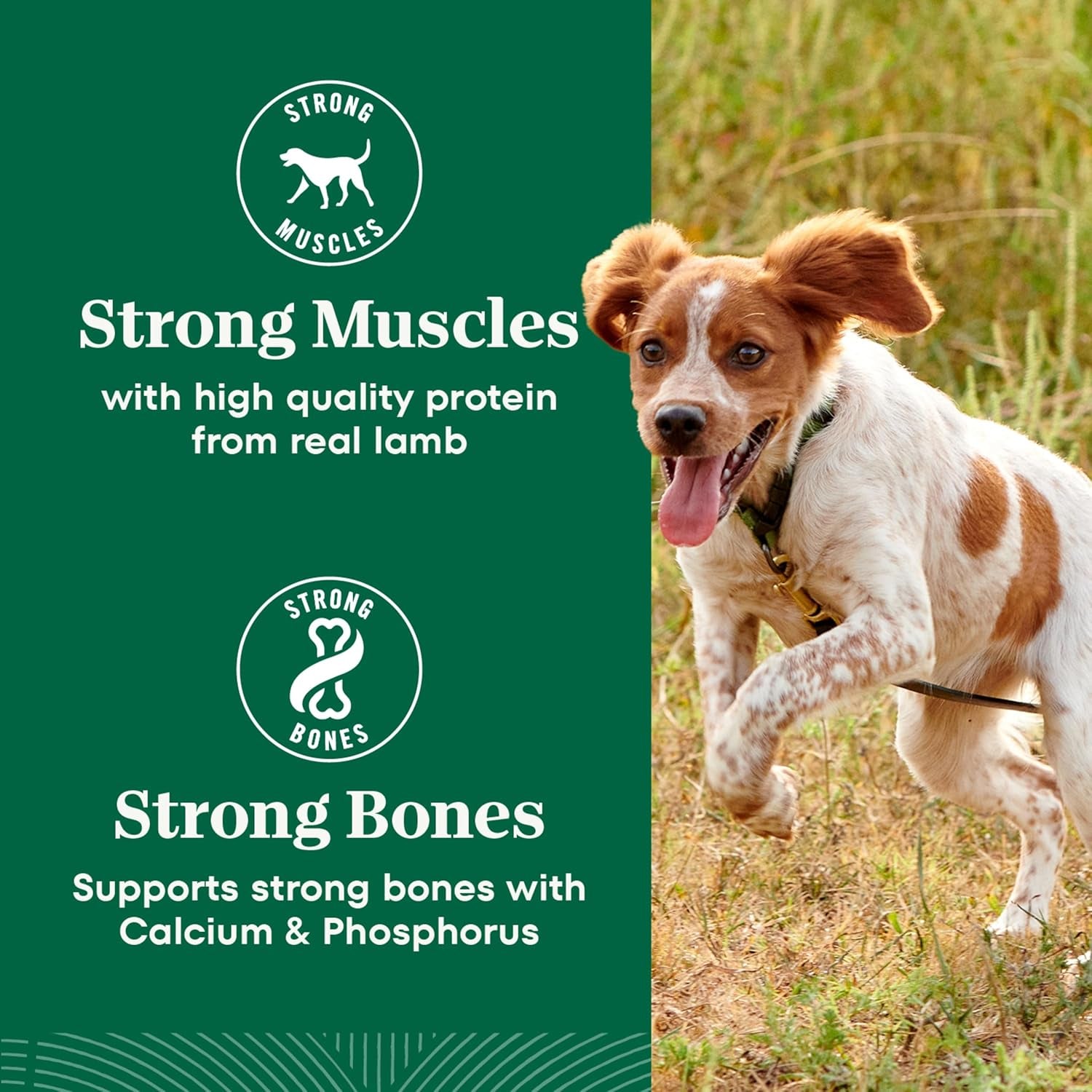 Natural Choice Lamb & Brown Rice Adult Small Bites Dog Food Recipe, 12 Lb. Bag