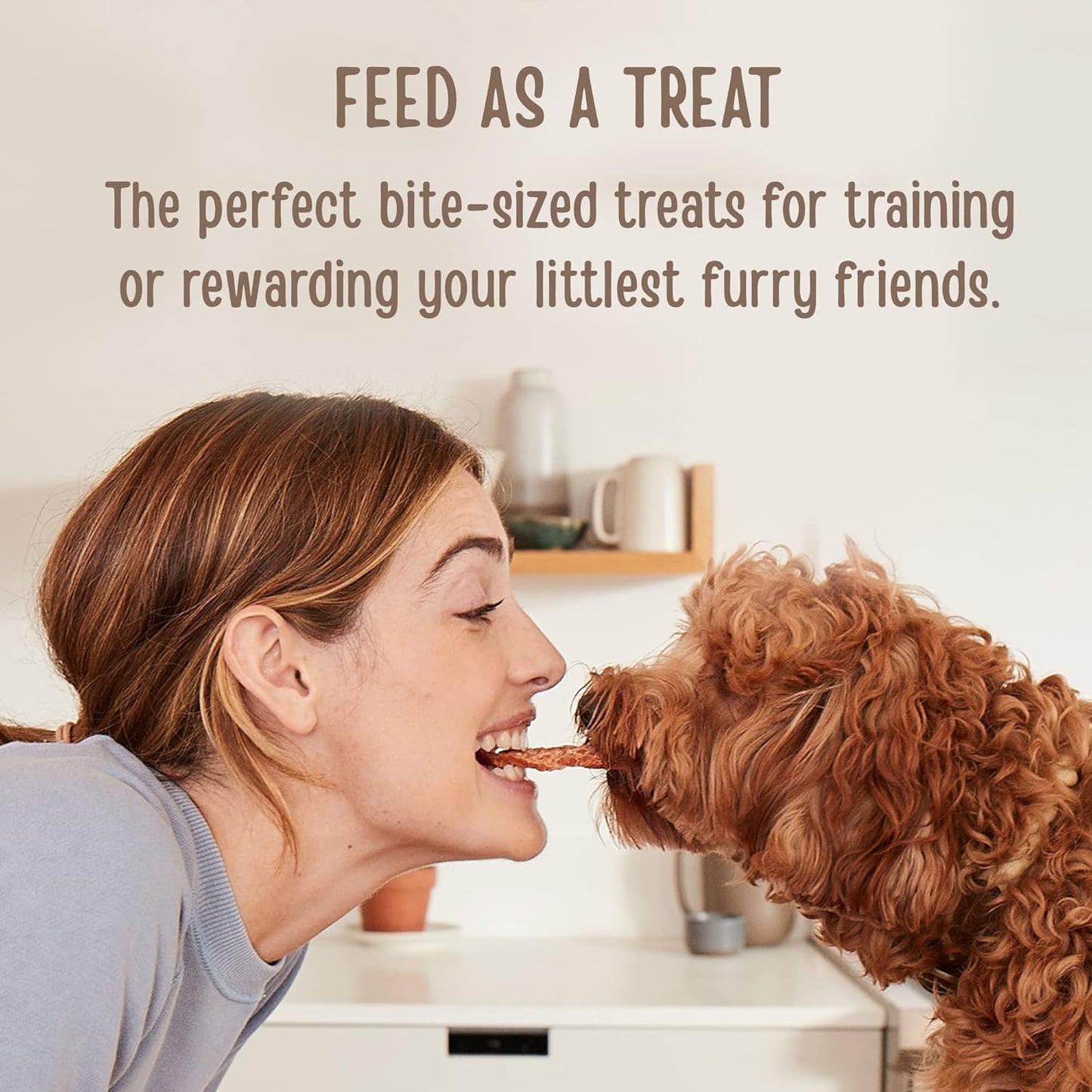 All Natural Human Grade Dog Treats, Essential Chicken Savory Bites, 16 Ounce