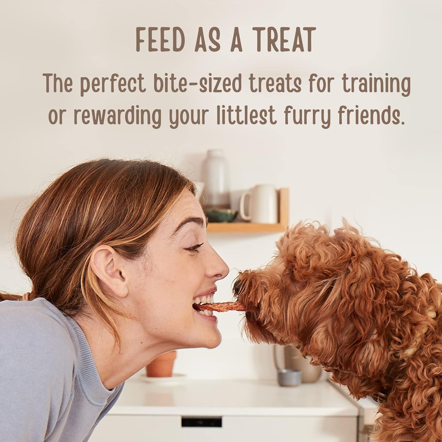 All Natural Human Grade Dog Treats, Essential Chicken Savory Bites, 16 Ounce