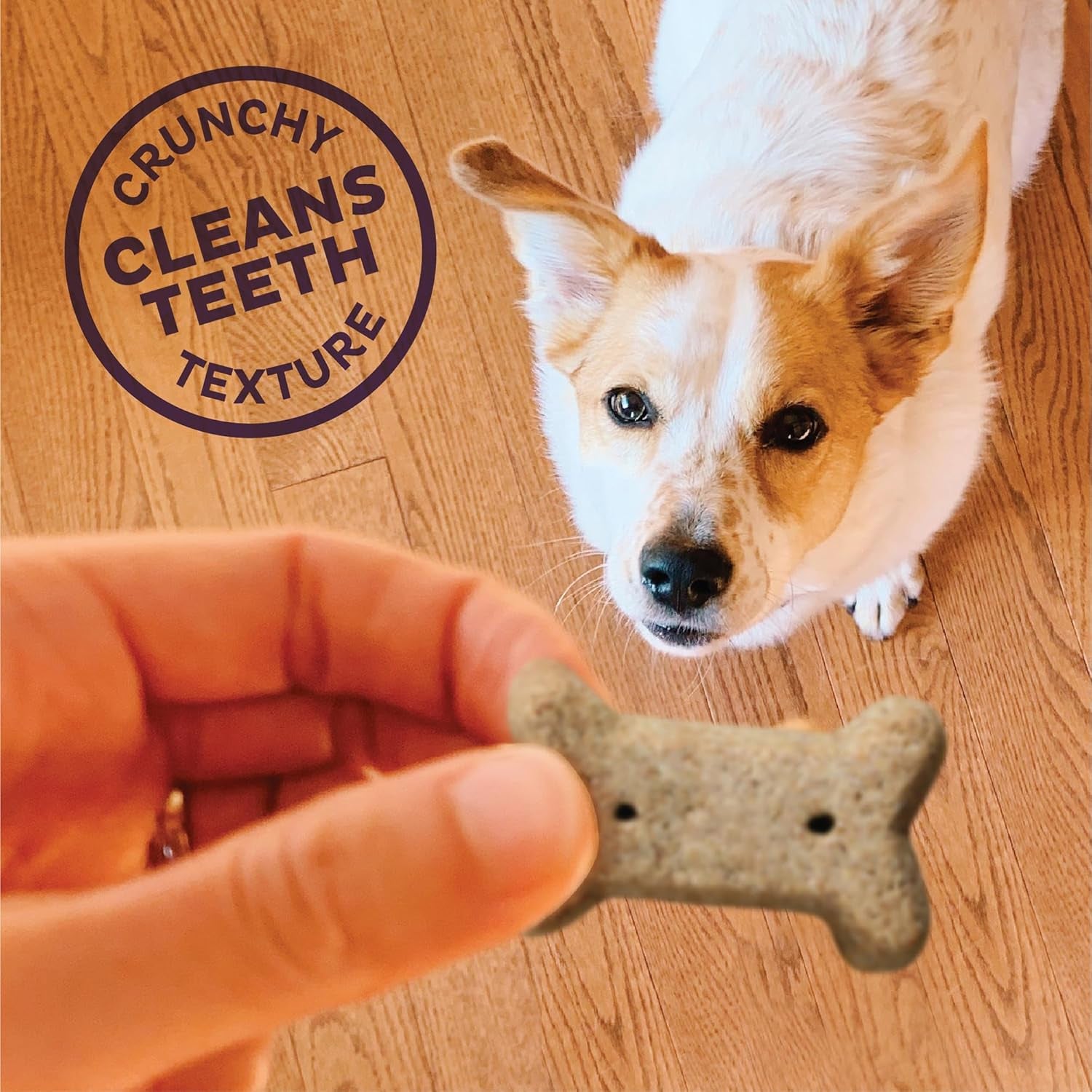 Wellness P-Nuttier Dog Biscuits, Natural, Training Treats, Peanut Butter Flavor, Mini Size, (6 Pound Box)