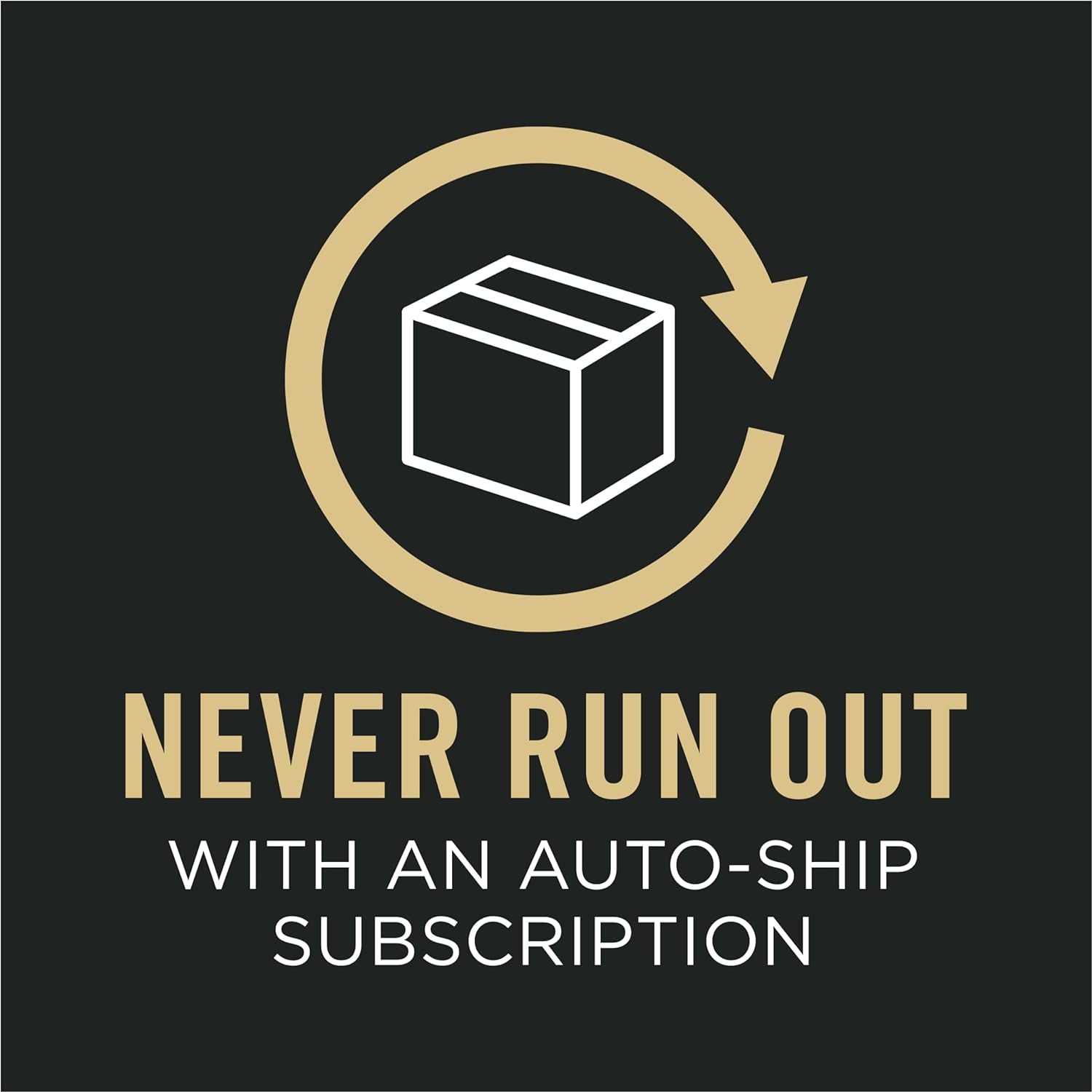 High Protein Wet Cat Food Variety Pack, Complete Essentials Seafood Favorites - (2 Packs of 12) 3 Oz. Cans